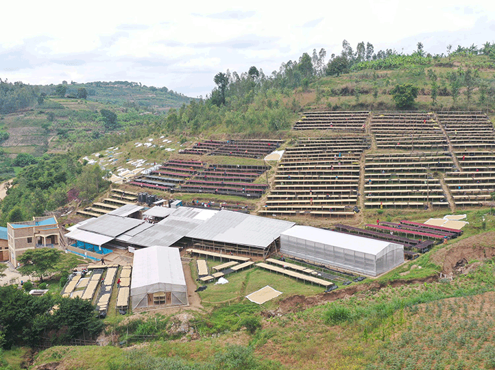 Rwanda Aba Sholi Coffee coop