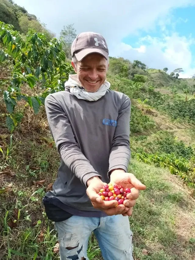 James Hoffmann: The Decaf Project