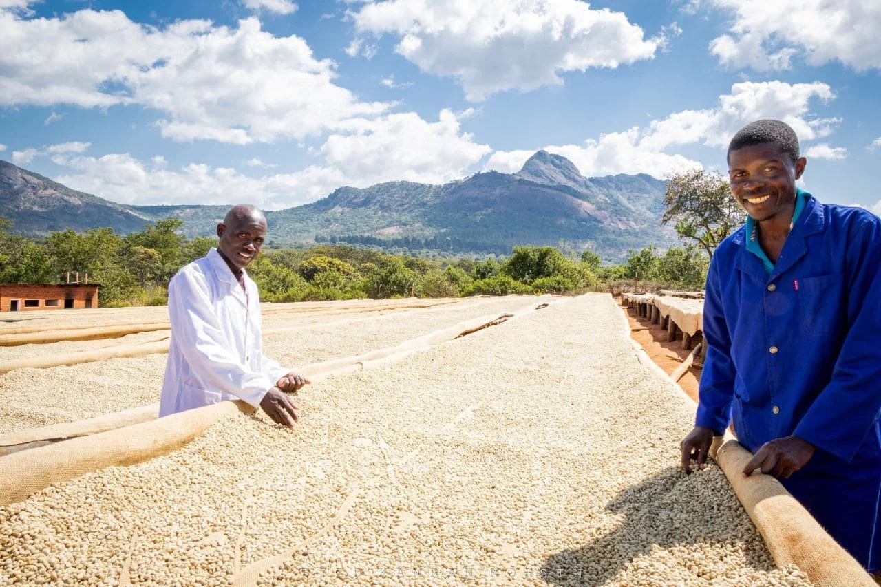 Sable Coffee Farmers