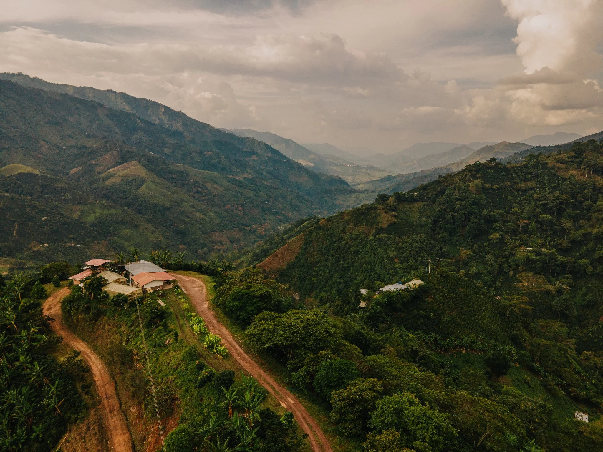 PLANADAS, TOLIMA7645579_8e414e02fc_k (1).jpg