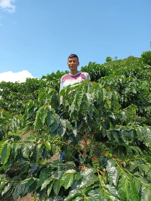 James Hoffmann: The Decaf Project