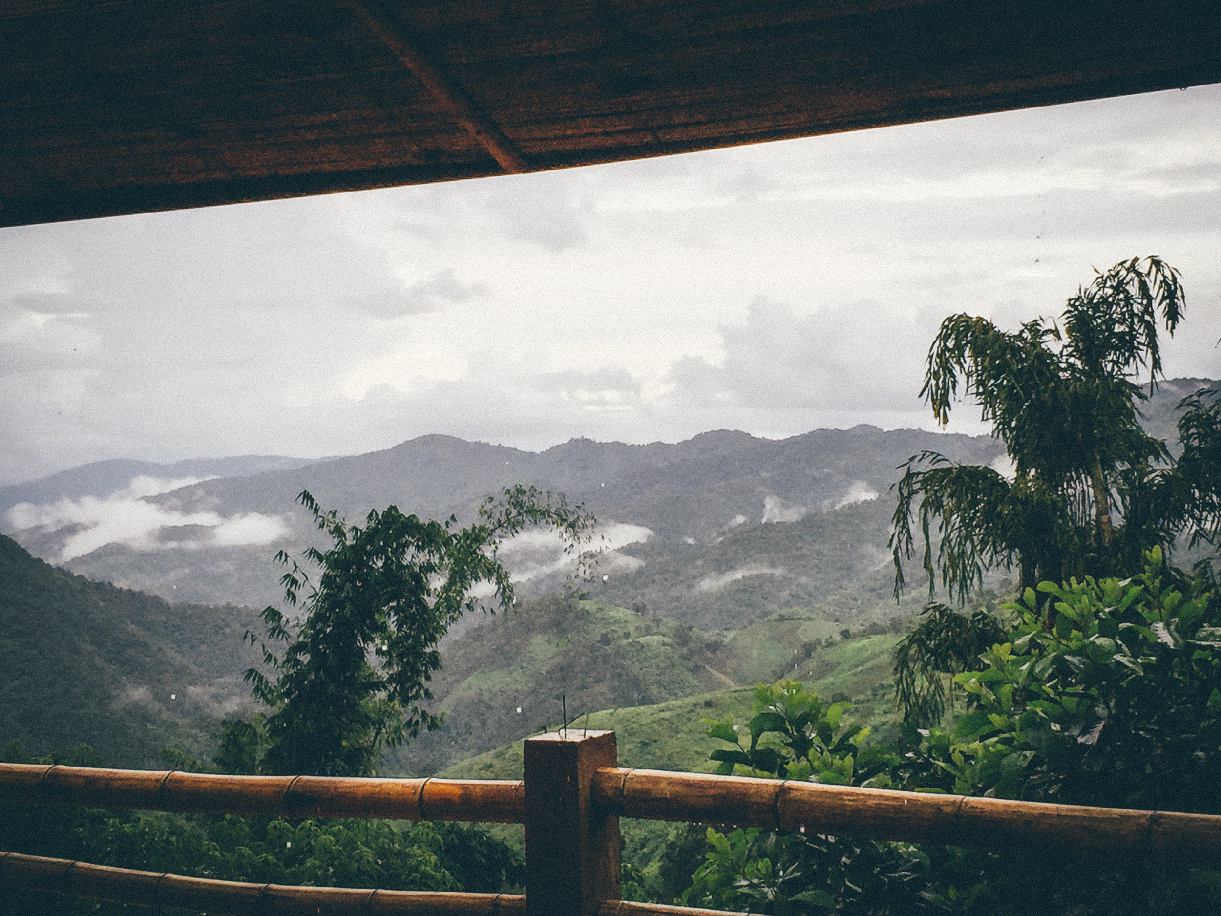 The view