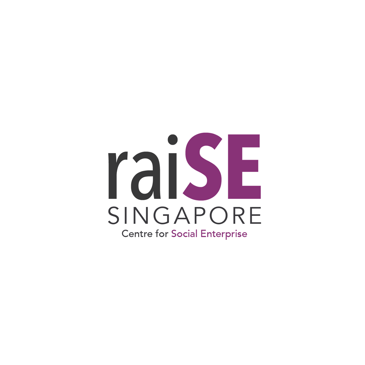 raise logo.png