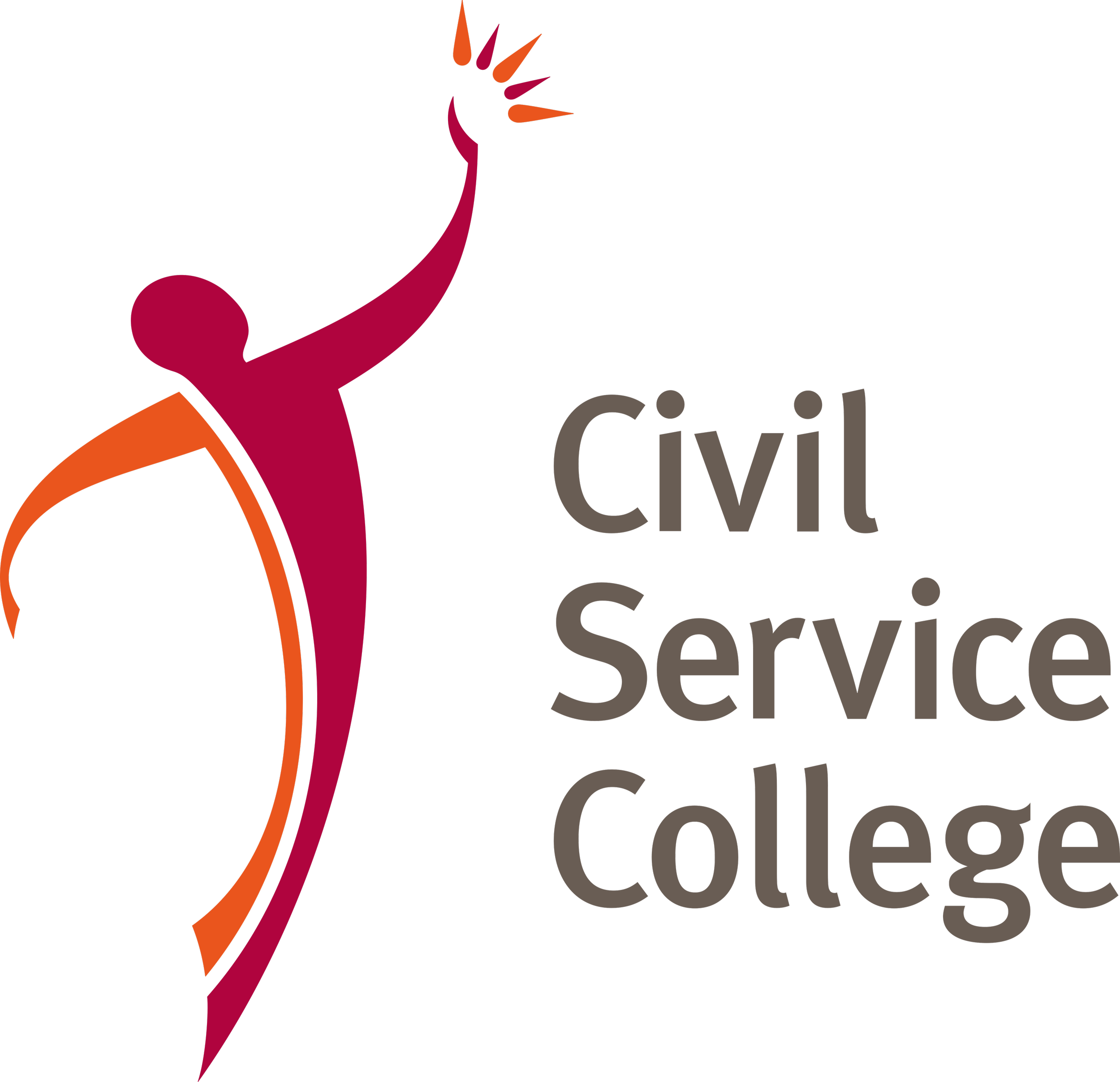 csc logo.png