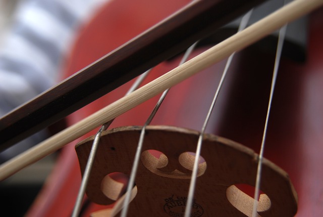 cello-663563_640.jpg