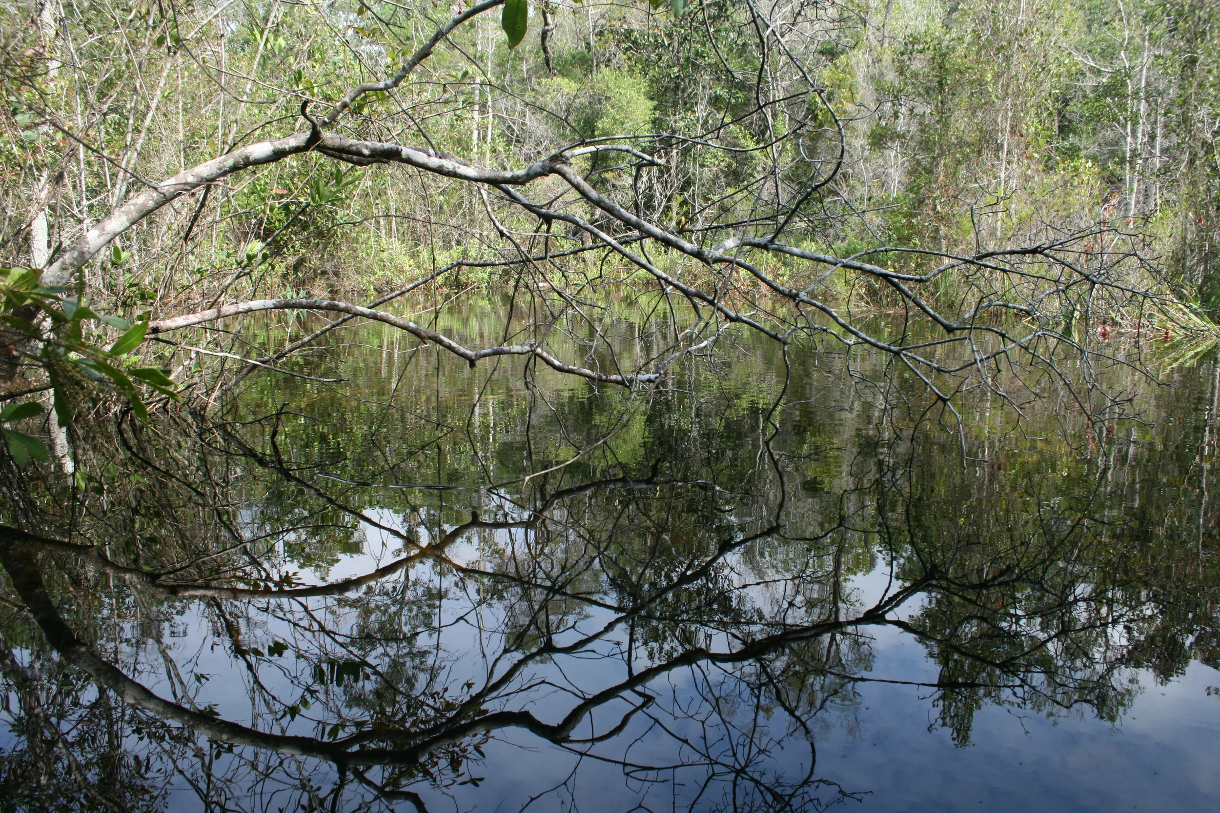 Eglin Air Force Base, Florida 