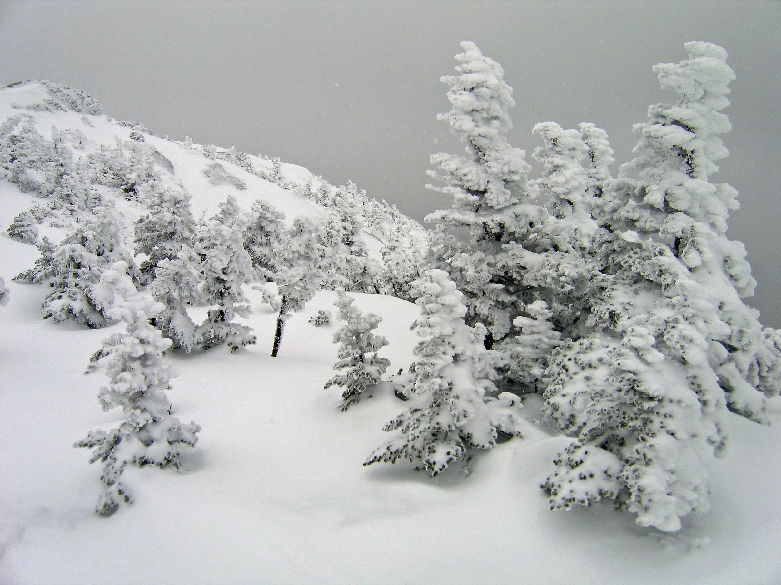 Camel's Hump, Vermont