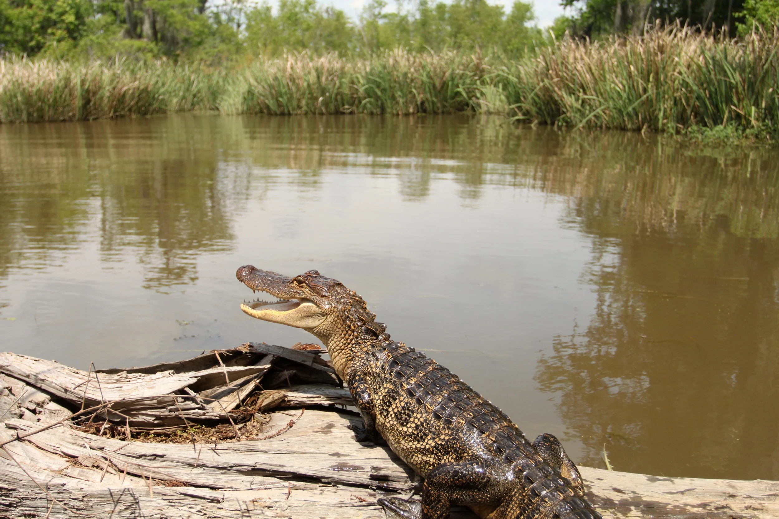 Slidell, Louisiana