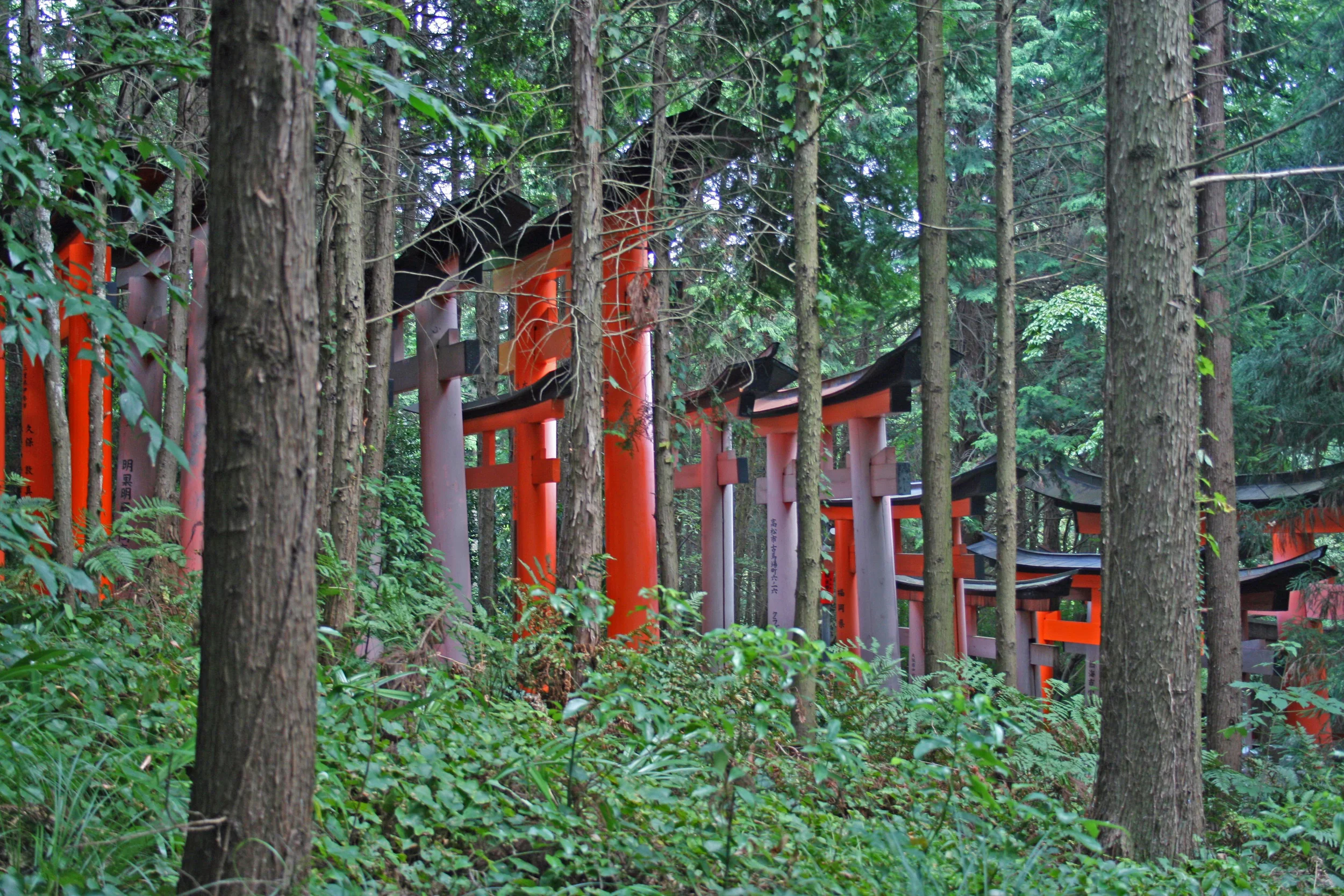Kyoto, Japan