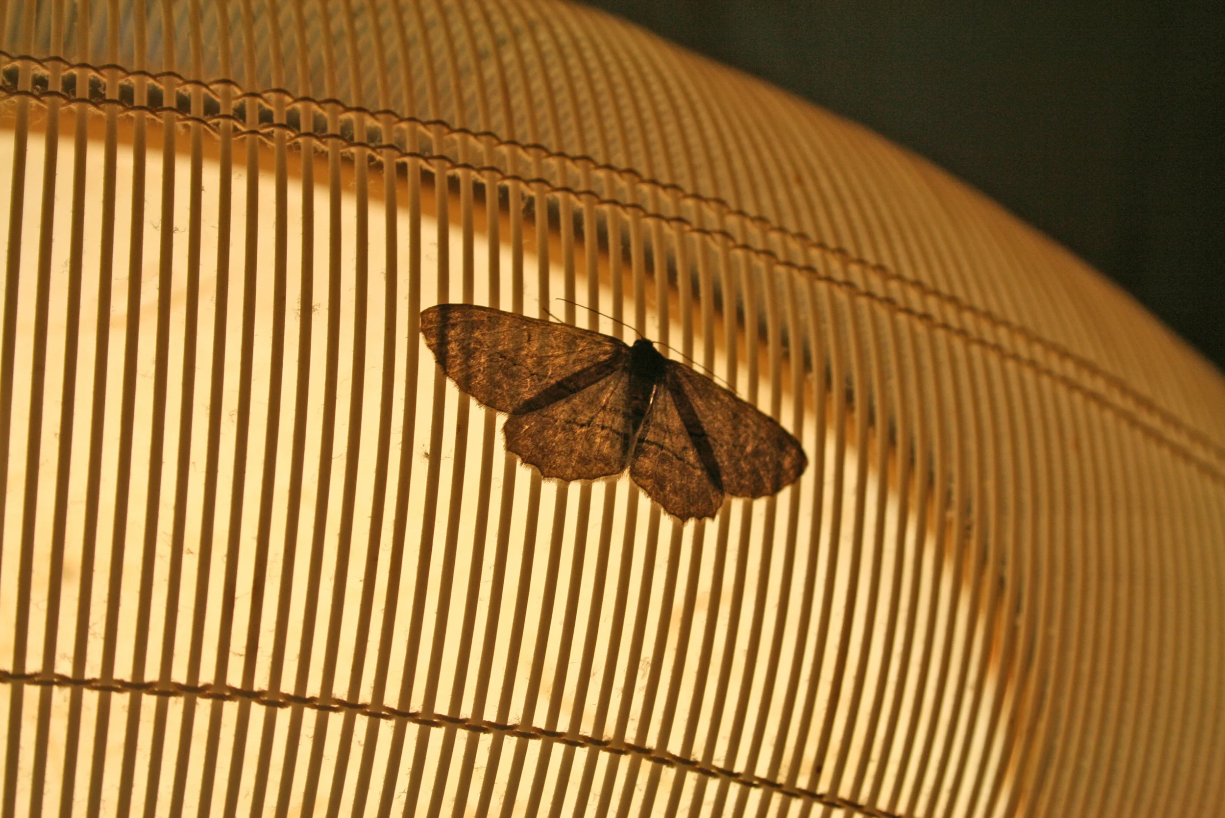 Agematsu, Japan