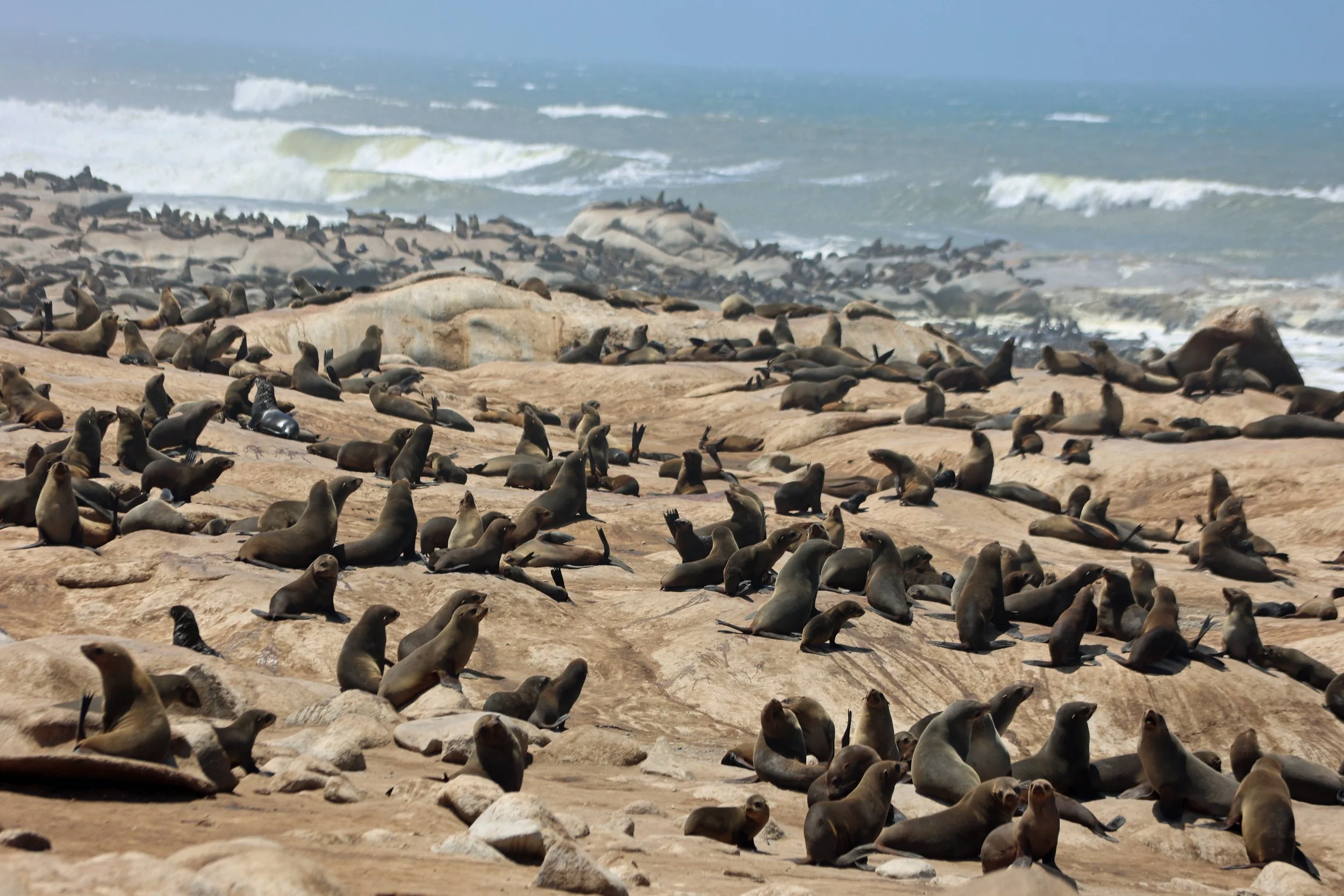 Skeleton Coast, Namibia 