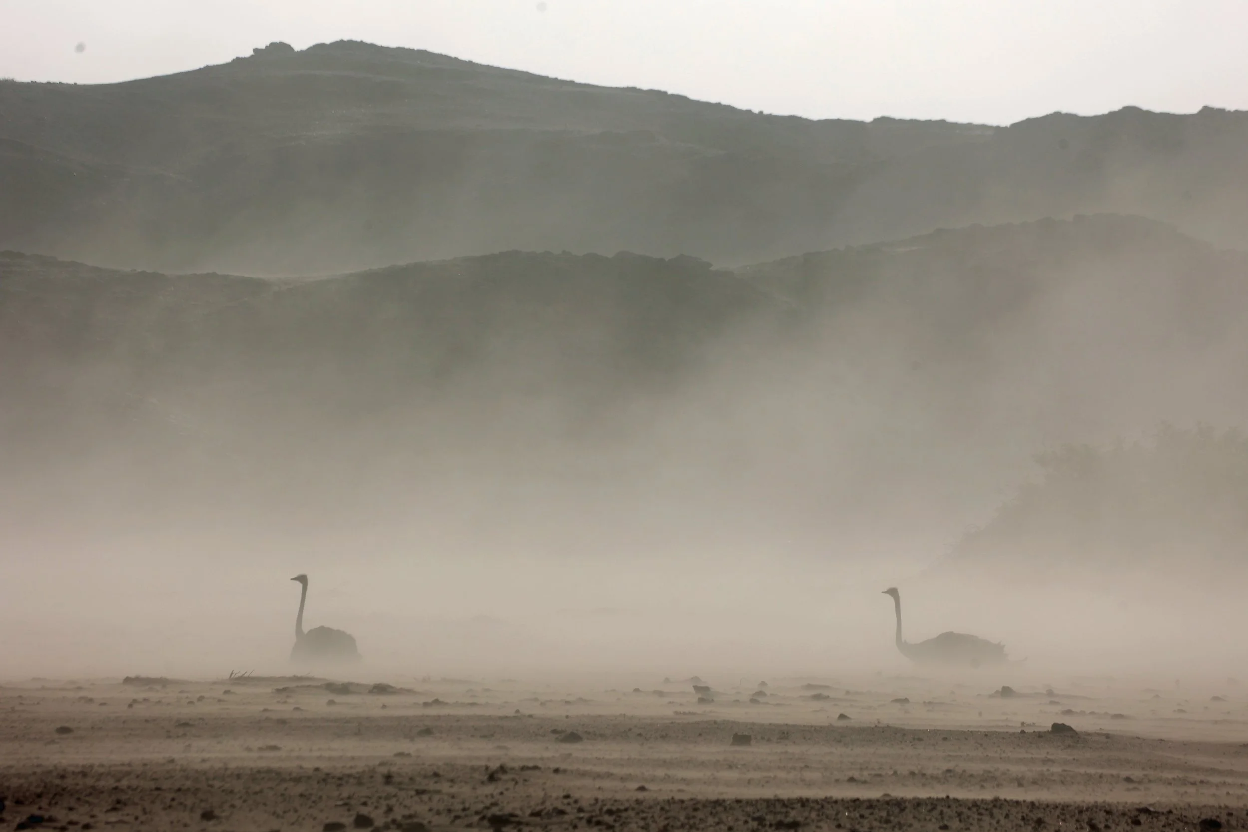 Hoanib, Namibia 