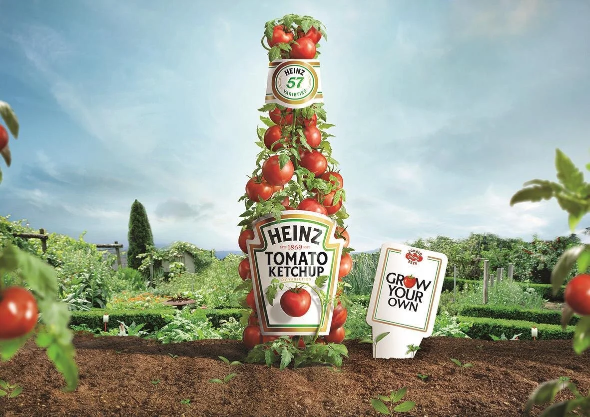 110930_Ketchup-grow-your-own.jpg