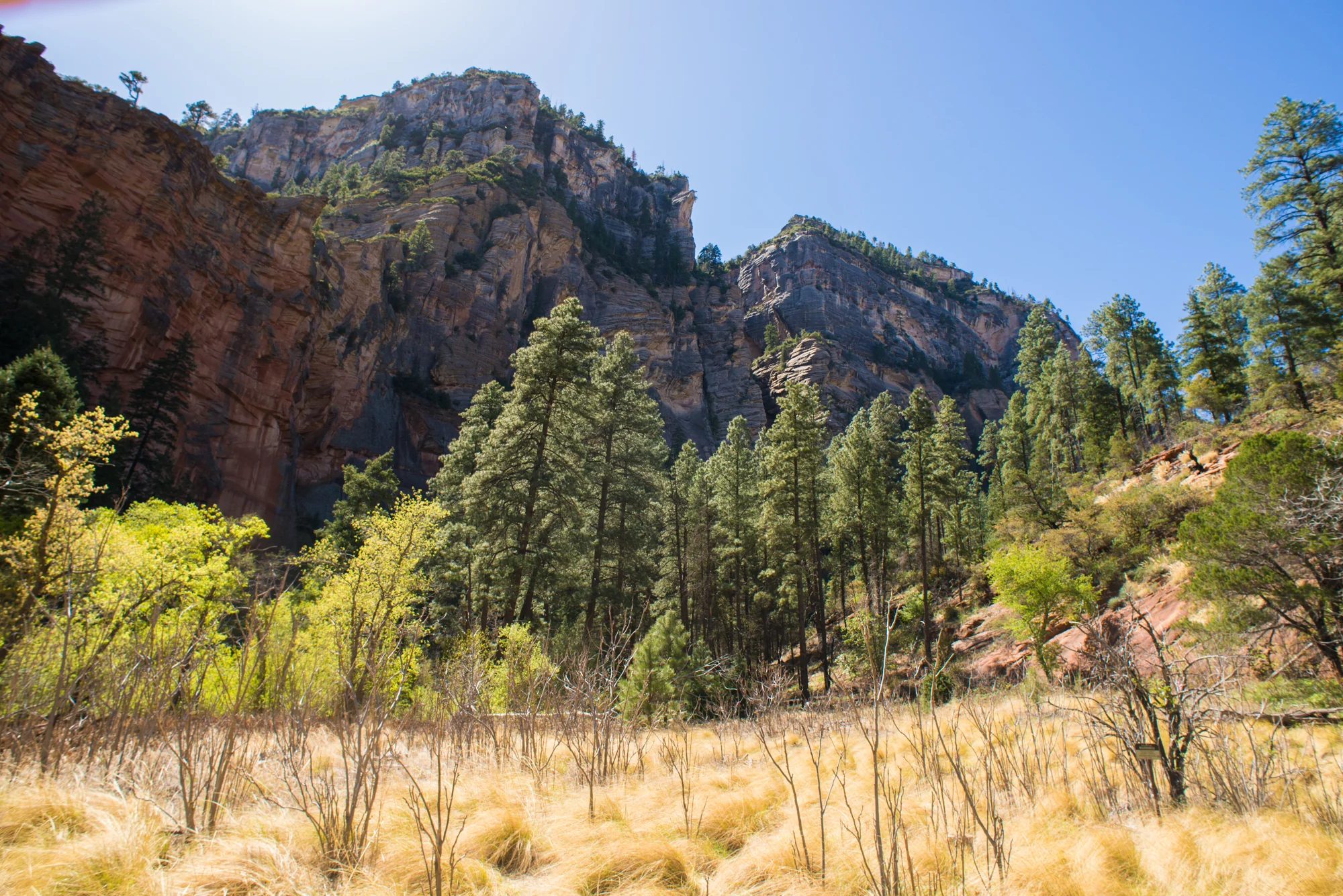AWG_4-23-18-10.jpg