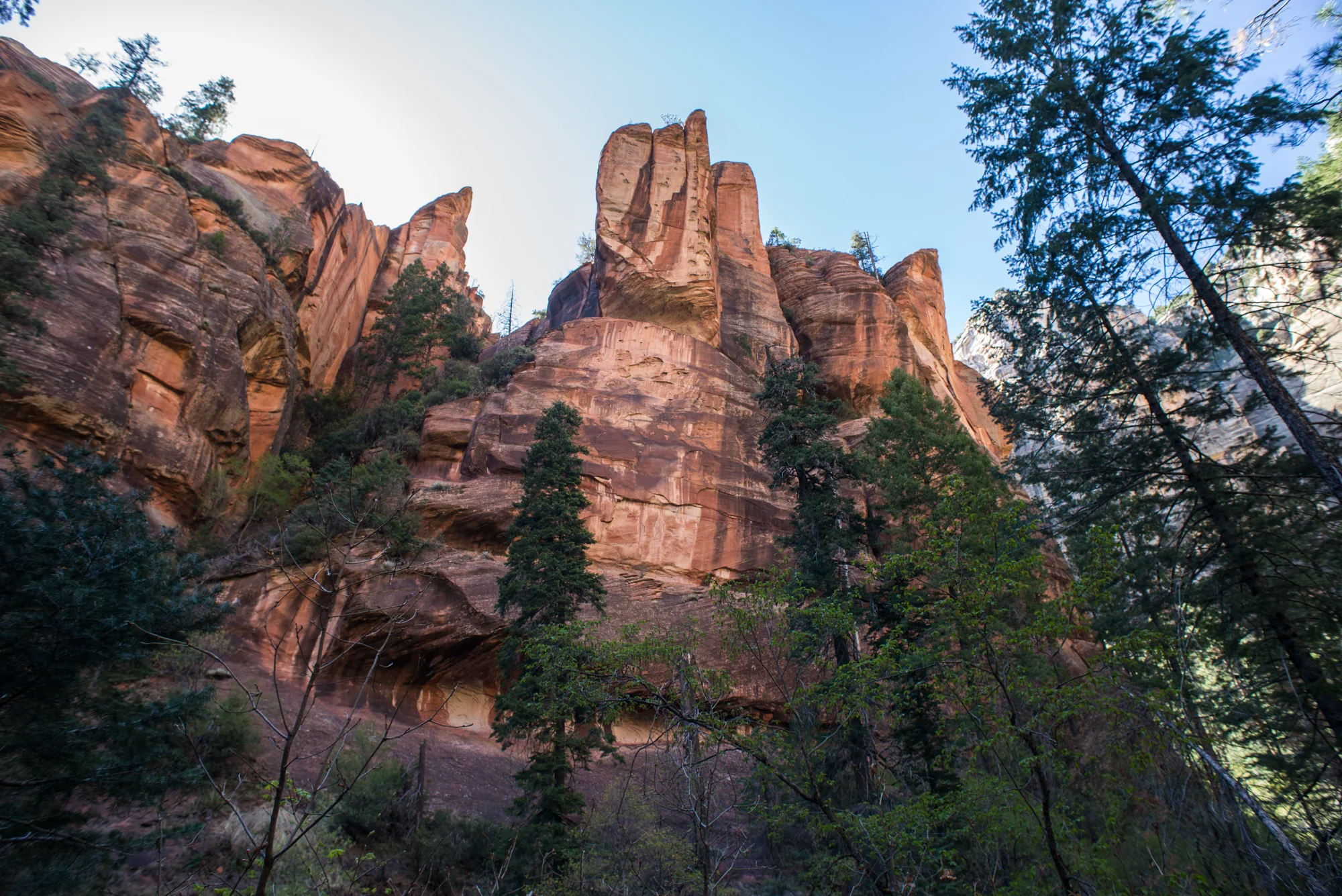AWG_4-23-18-15.jpg