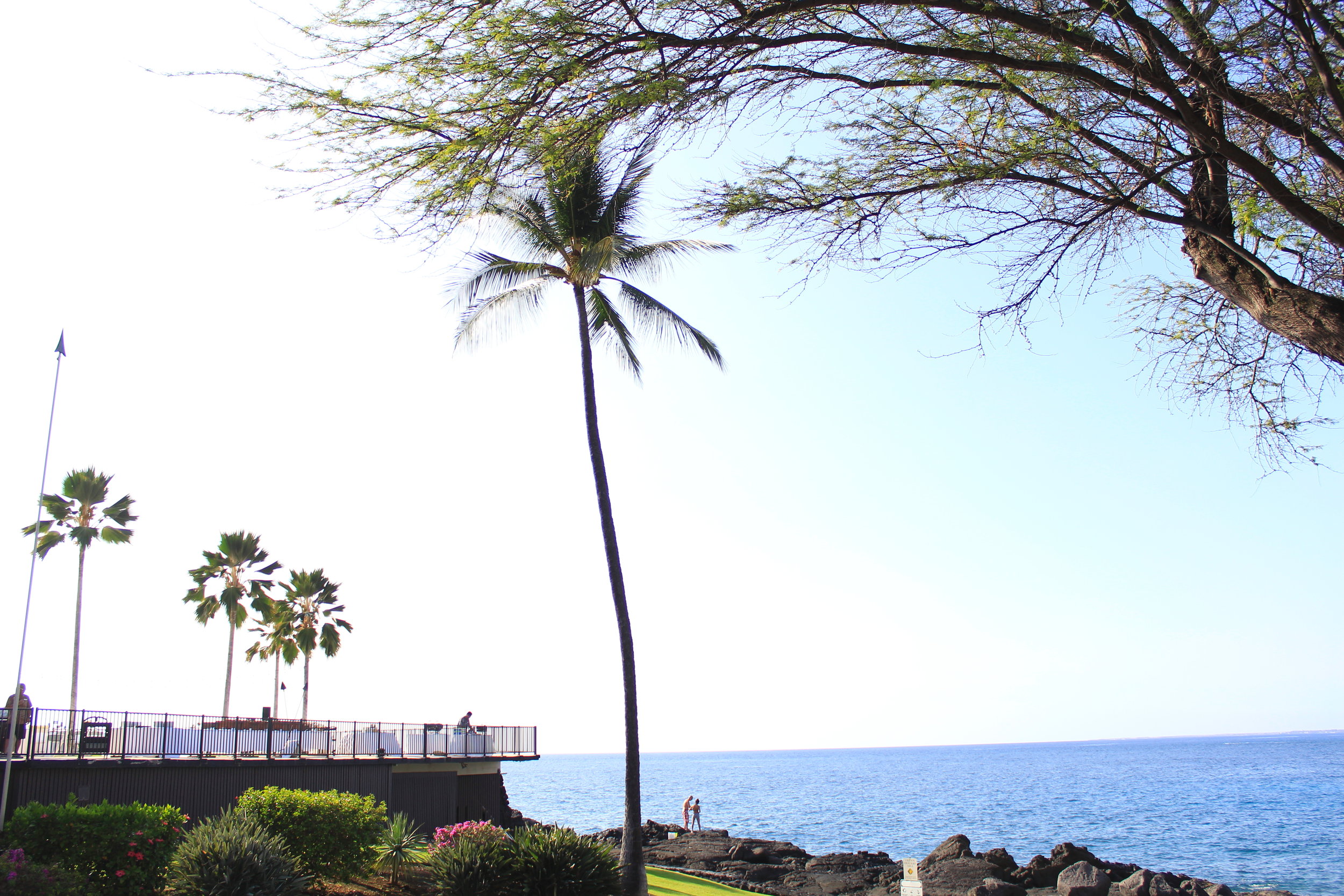 Hawaii - The Big Island — Thisldu