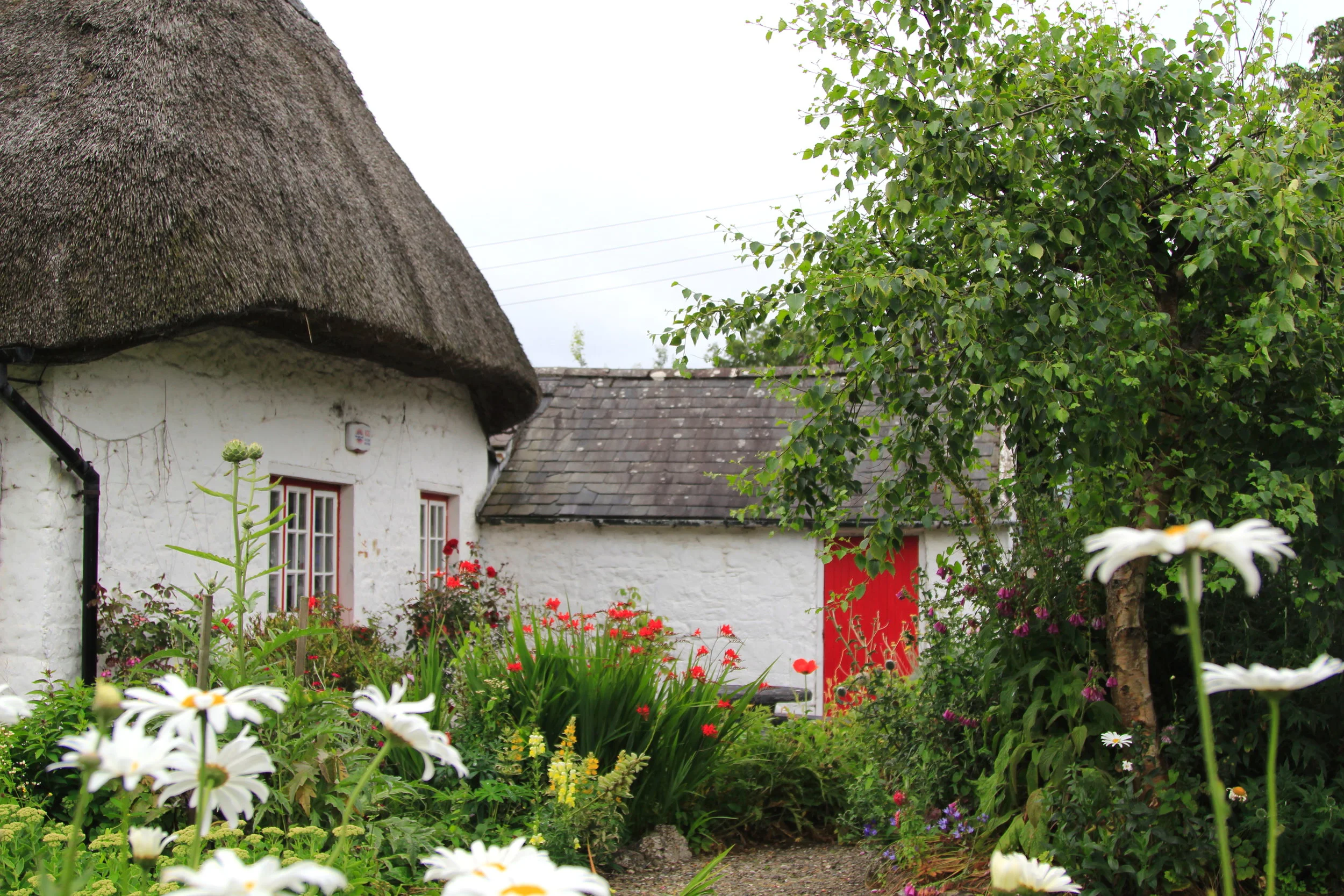 6 Days In Ireland Thisldu