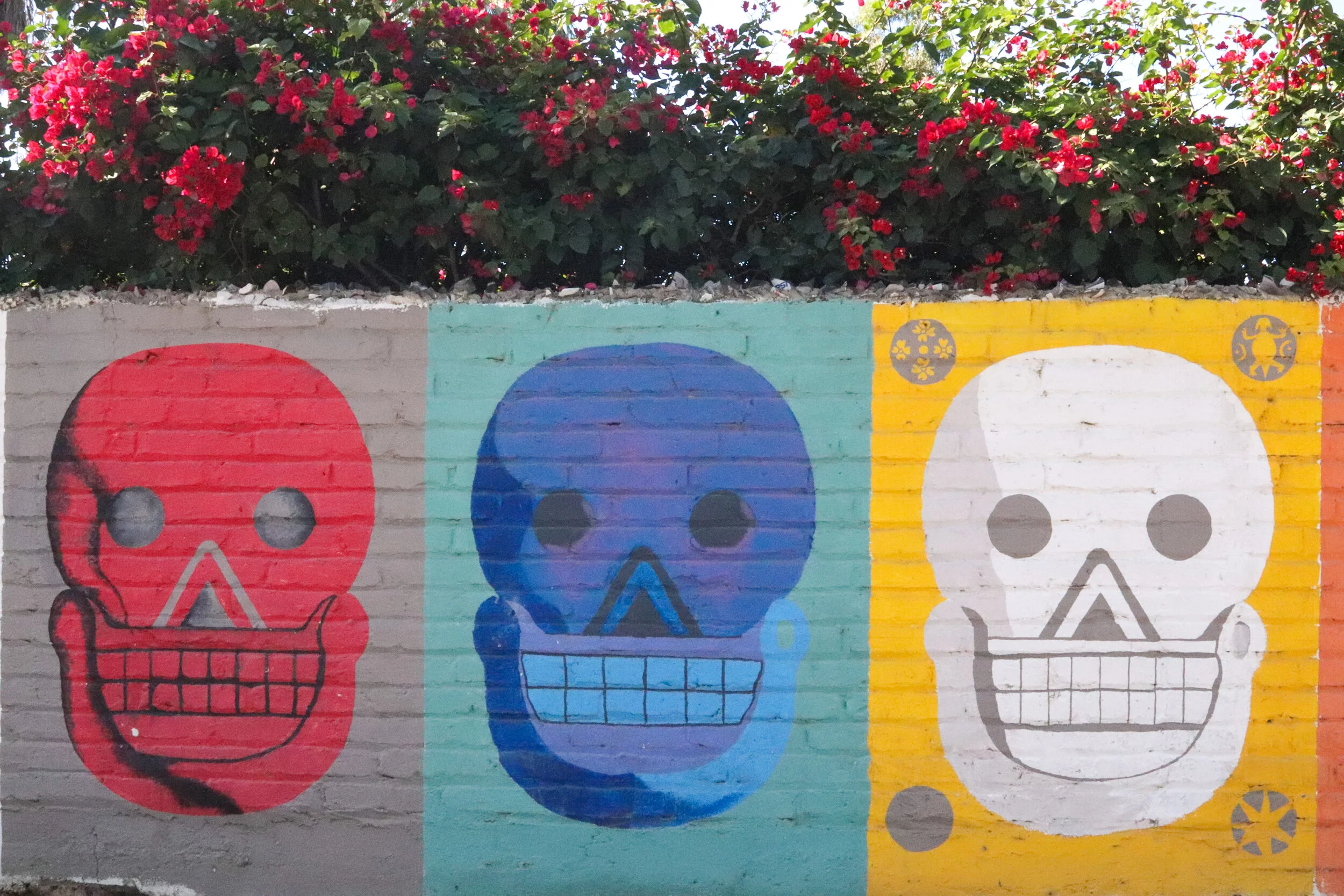 Visitor's Guide to Todos Santos — Thisldu