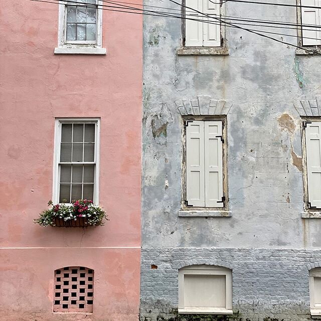 Pink or blue, which would you choose? I&rsquo;m leaning toward blue because I love the wear and tear on the stucco. It looks like a house that has a story to tell, don&rsquo;t you think? //
.
.
.
#windowboxwednesday #windowboxesofcharleston #windowbo