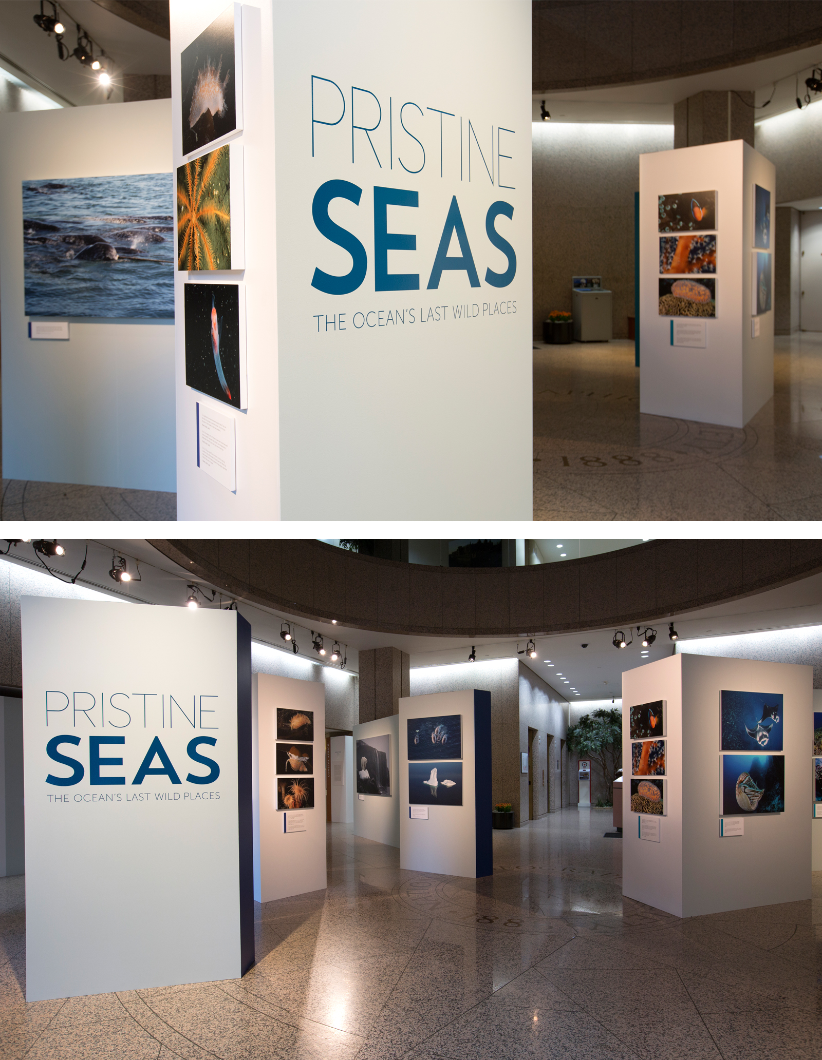 2015 Pristine Seas Exhibition