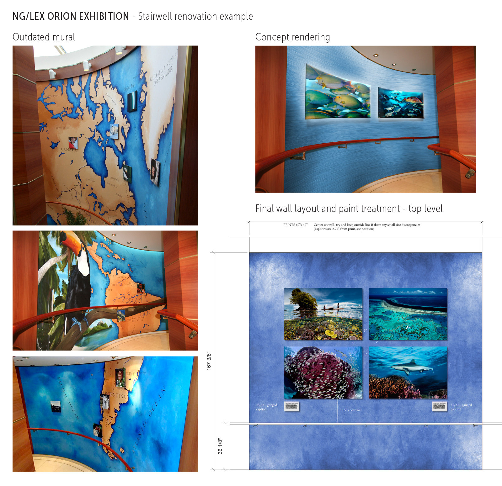 2013 NG Orion Exhibition