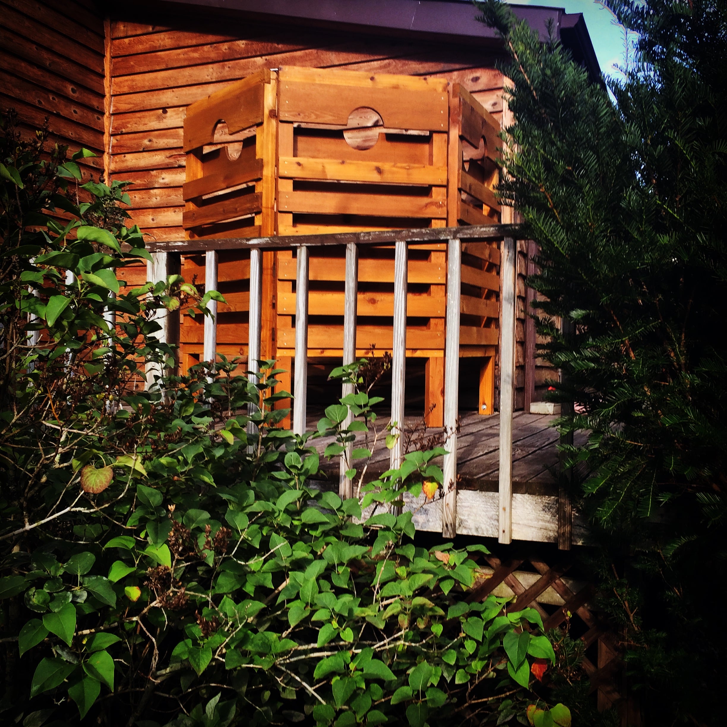 Outdoor Cedar Shower