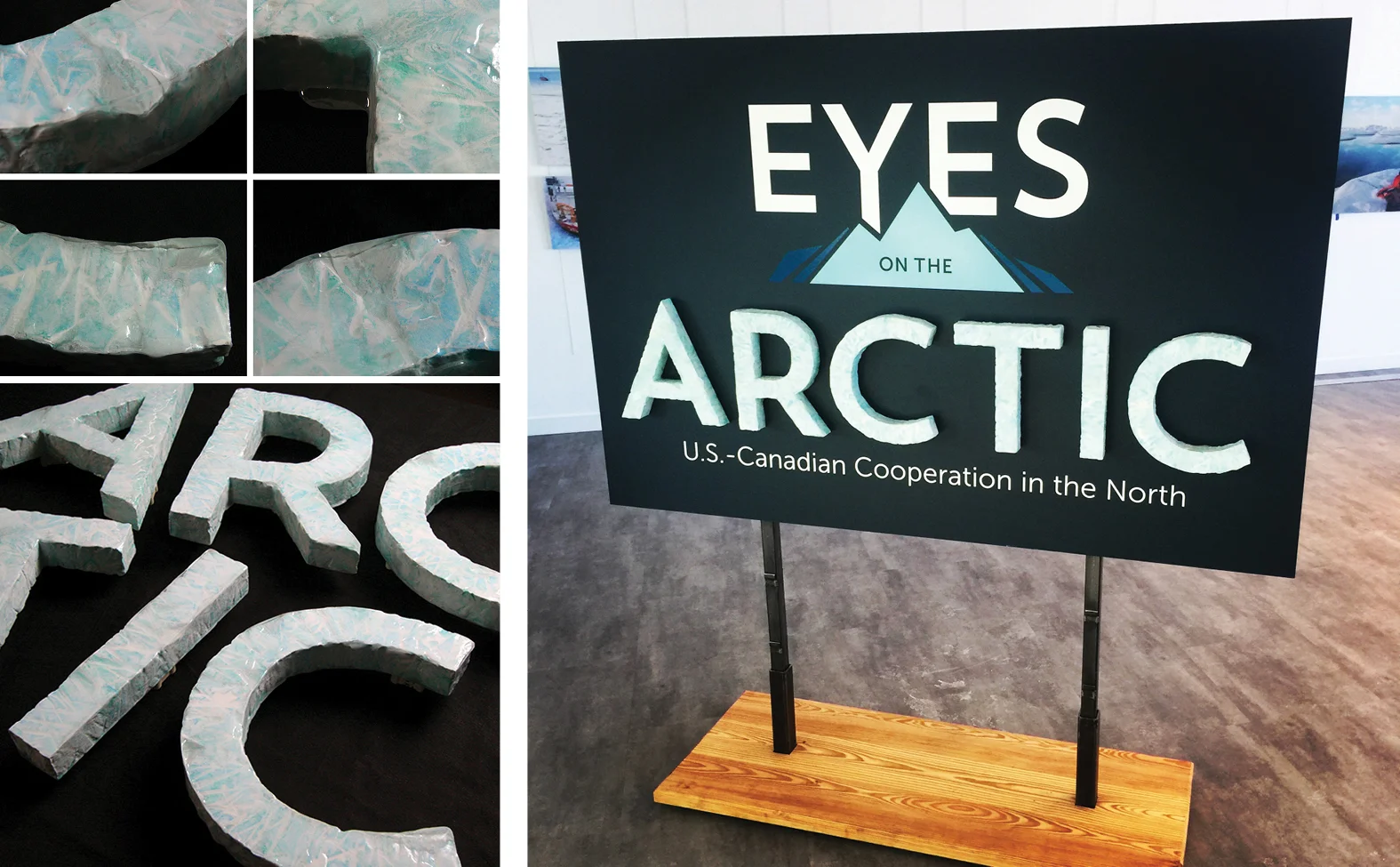 Eyes on the Arctic, 2017