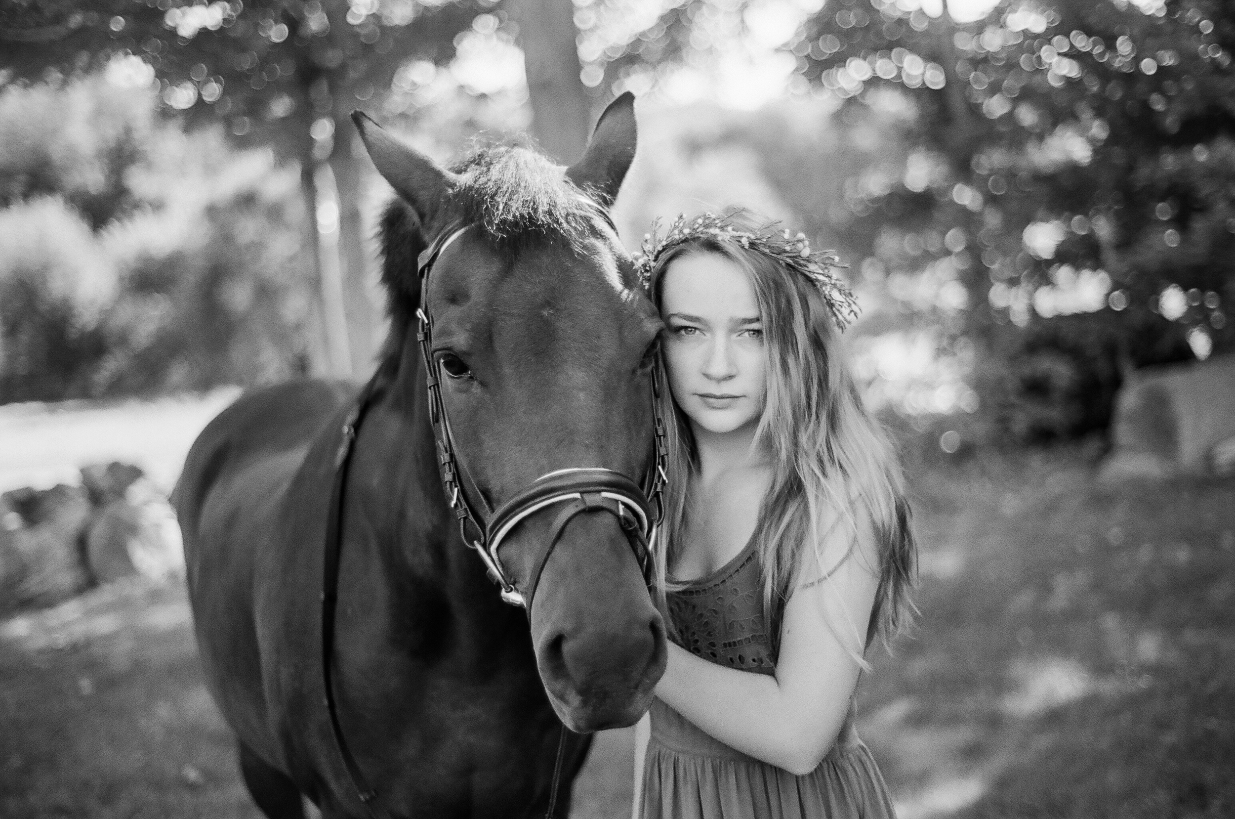 Equestrian Portrait Photographer in Amherst MA