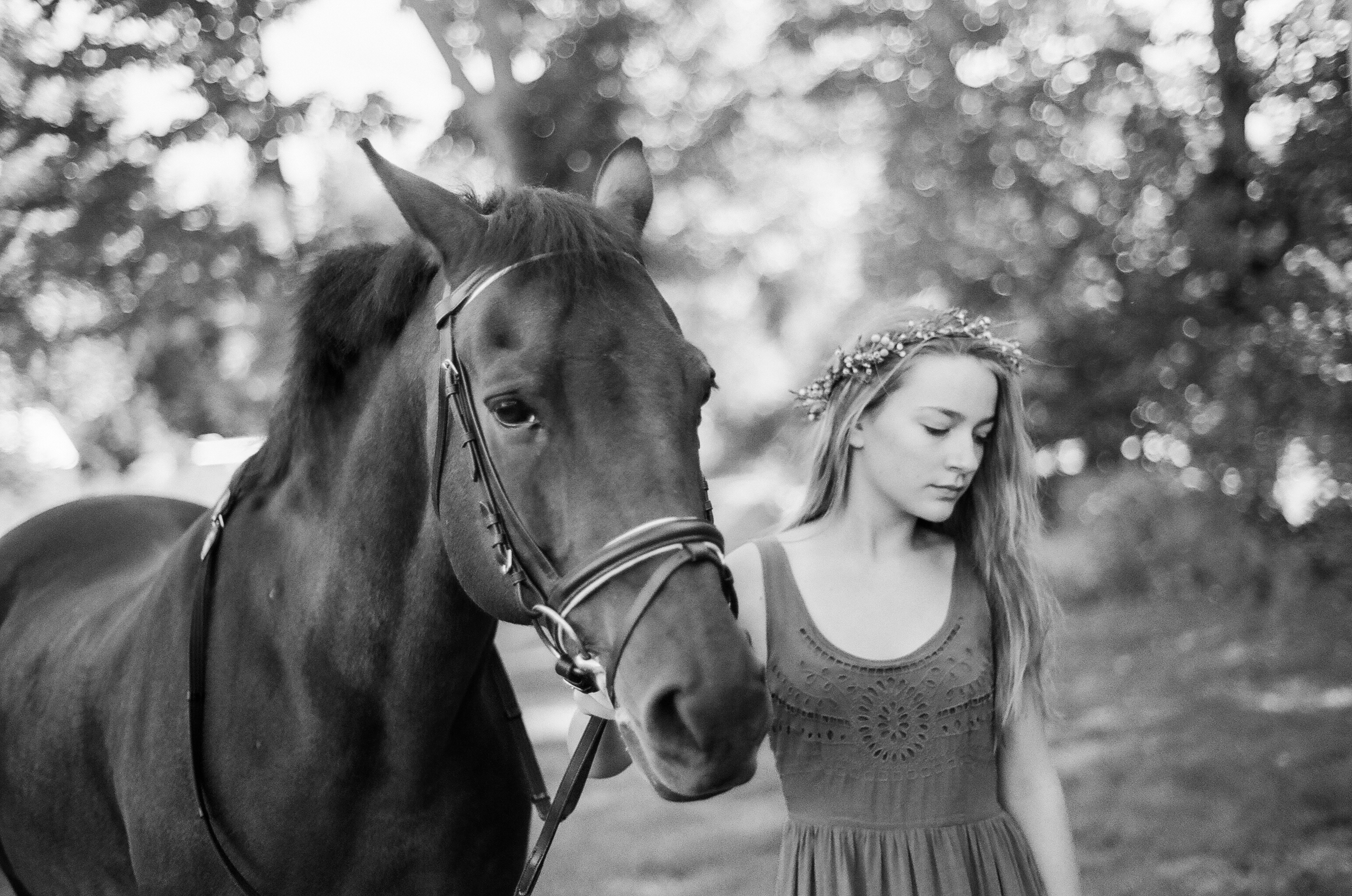 Equestrian Portraiture in Western MA