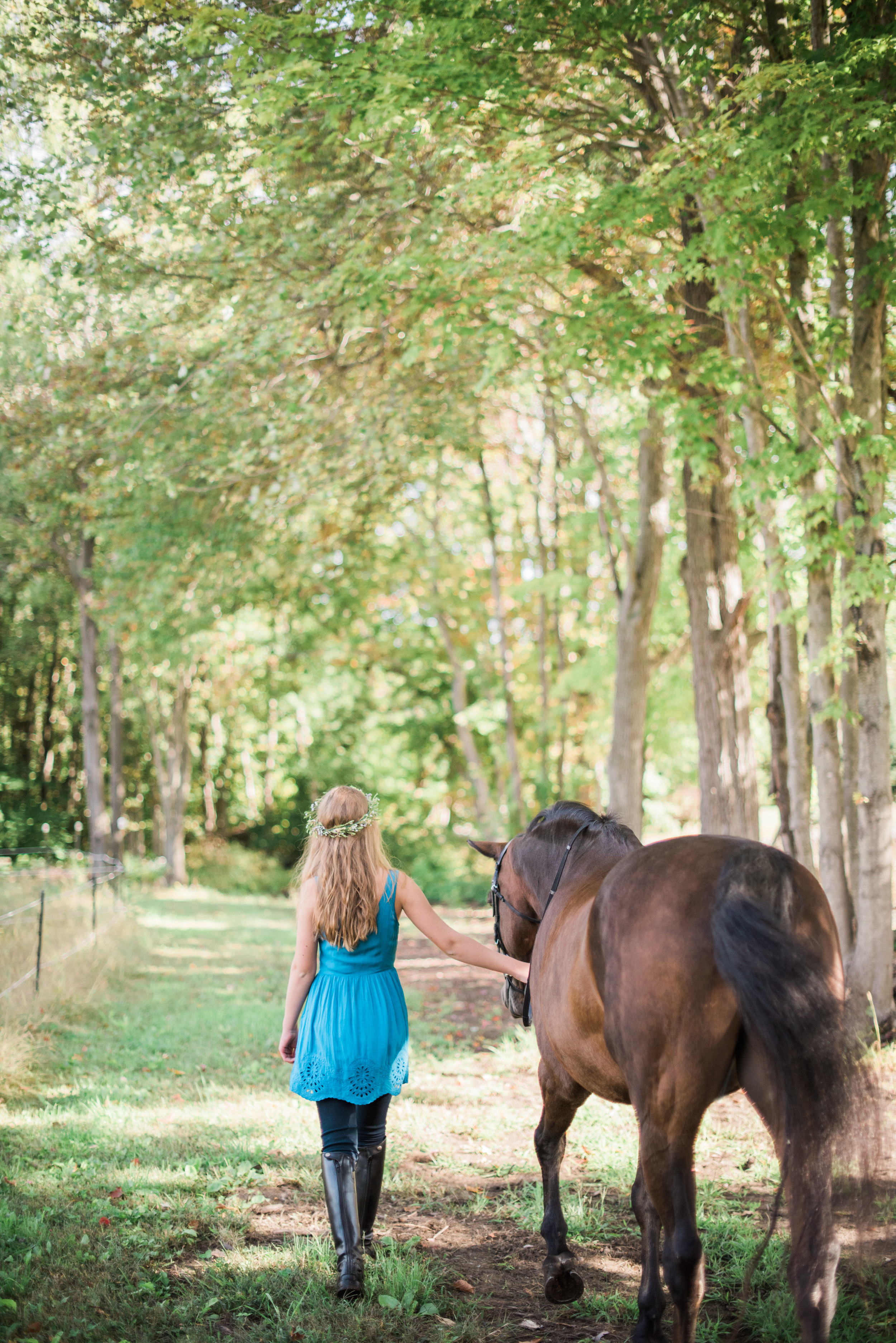 Horse Portraits near Boston