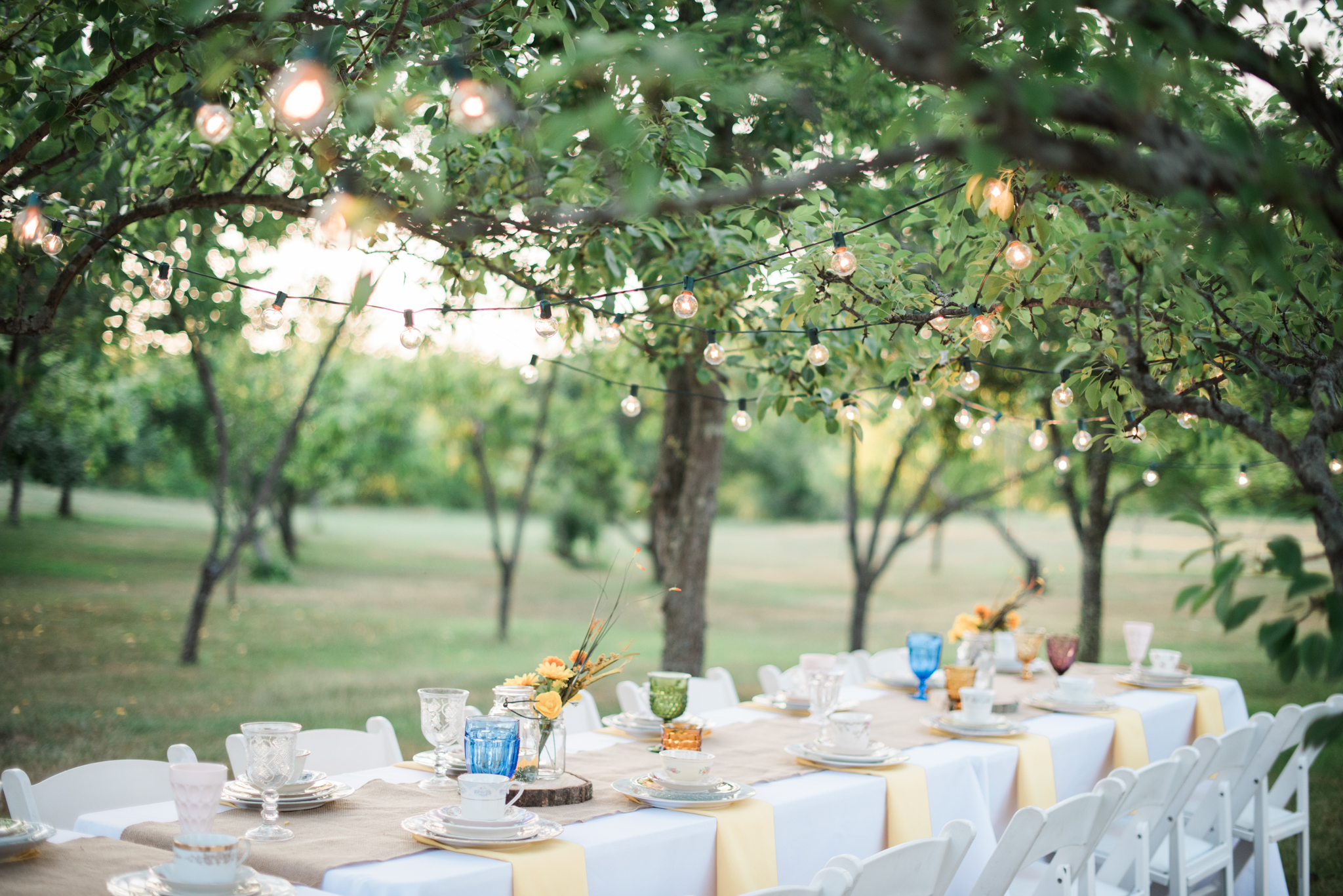 Misty Meadows Farm Wedding