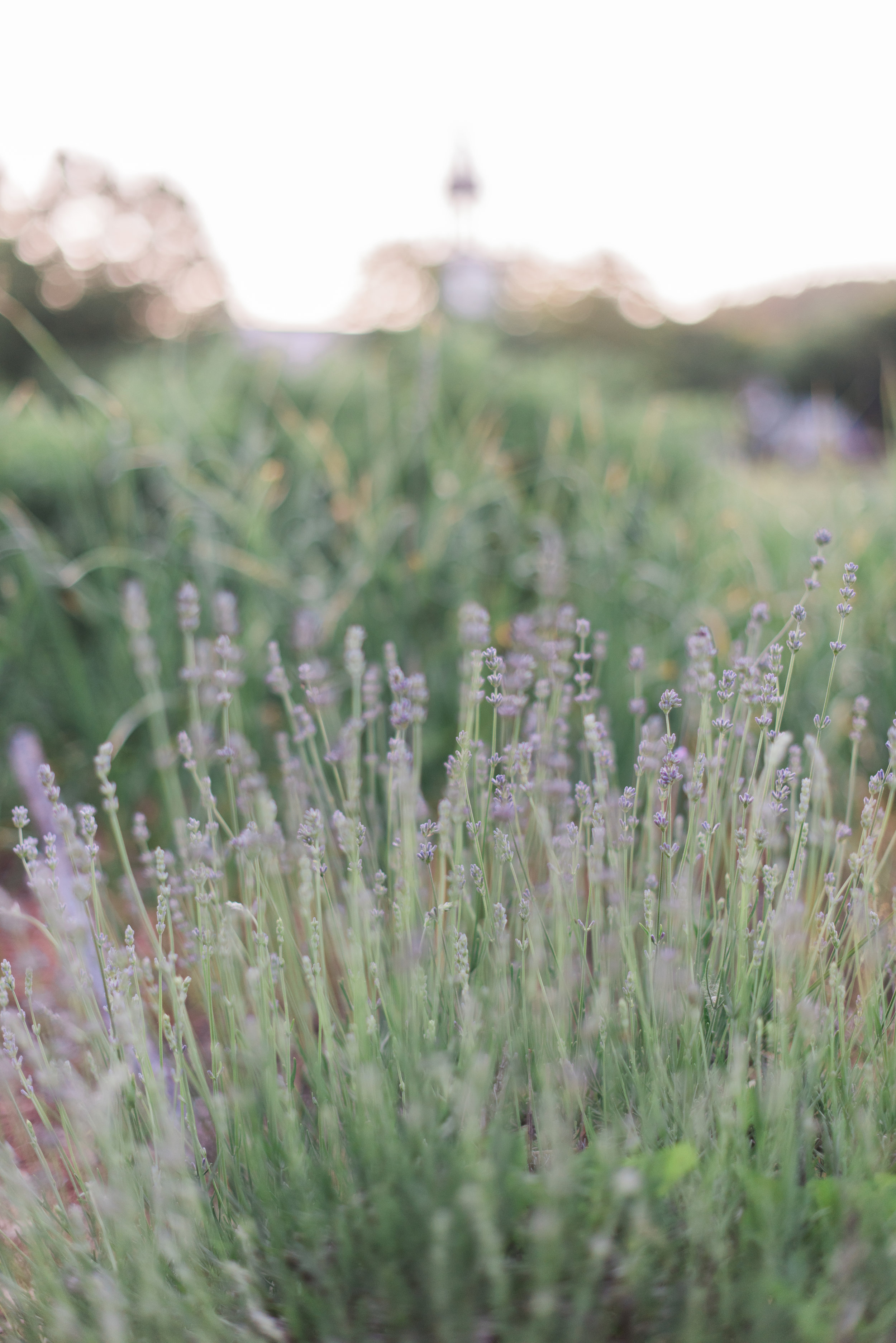 New England Wedding Photographer