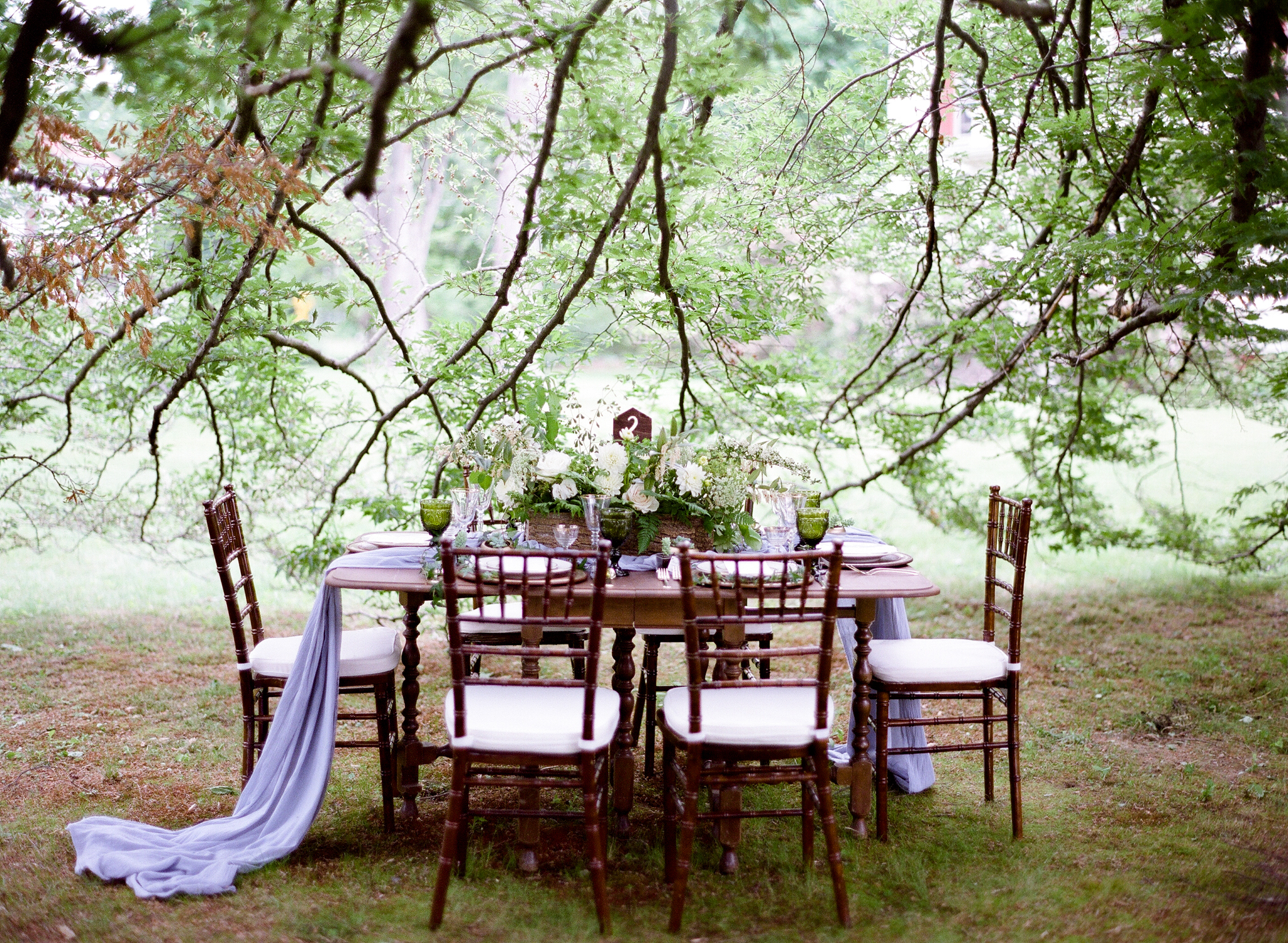 Backyard Weddings in Western Massachusetts