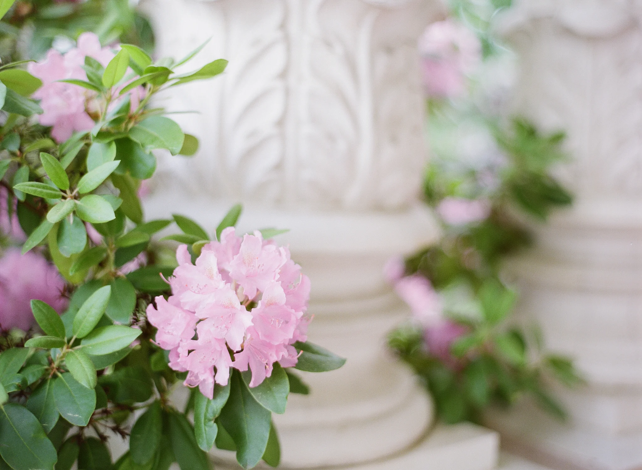 Estate Wedding Photography