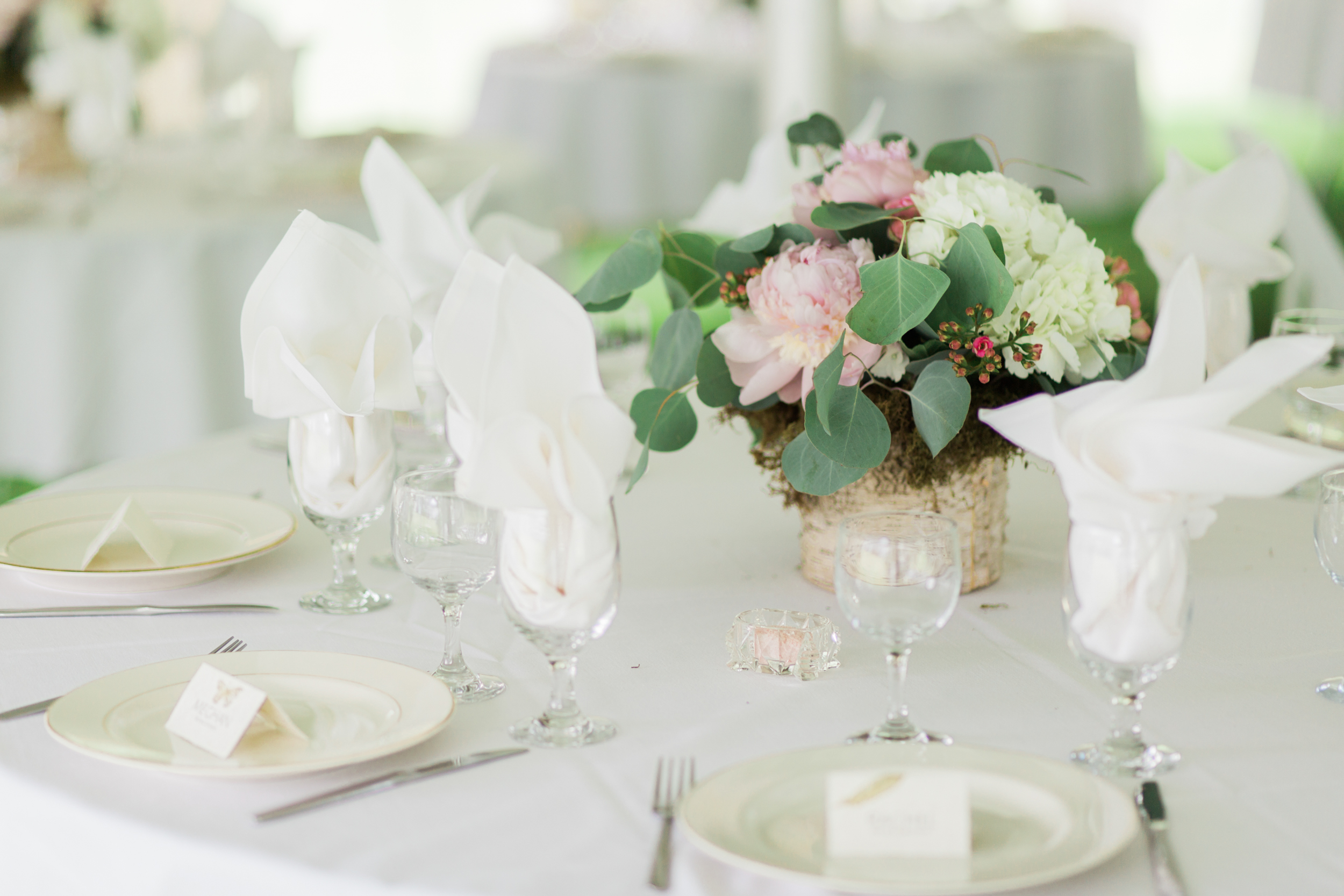 Tented Wedding Receptions in New England