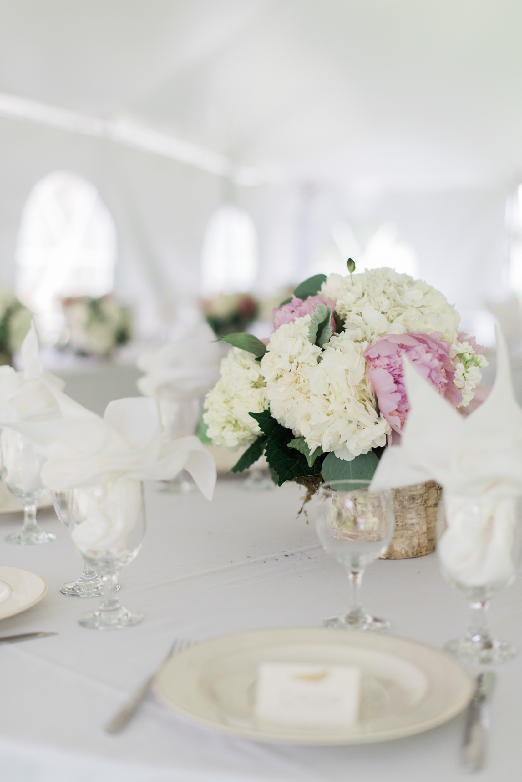 Wedding photographers in Northampton MA