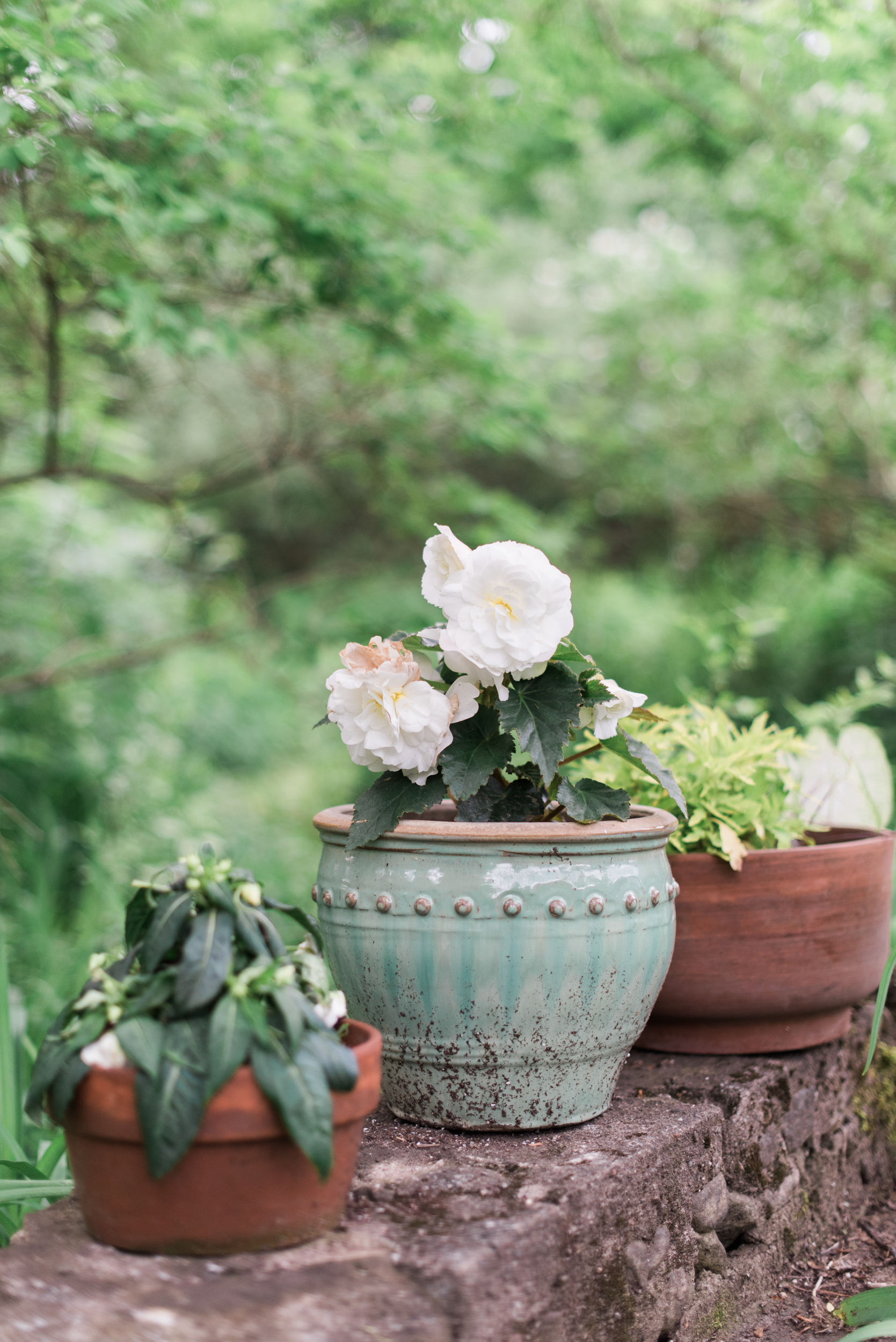 Fine Art Wedding Photographers in New England