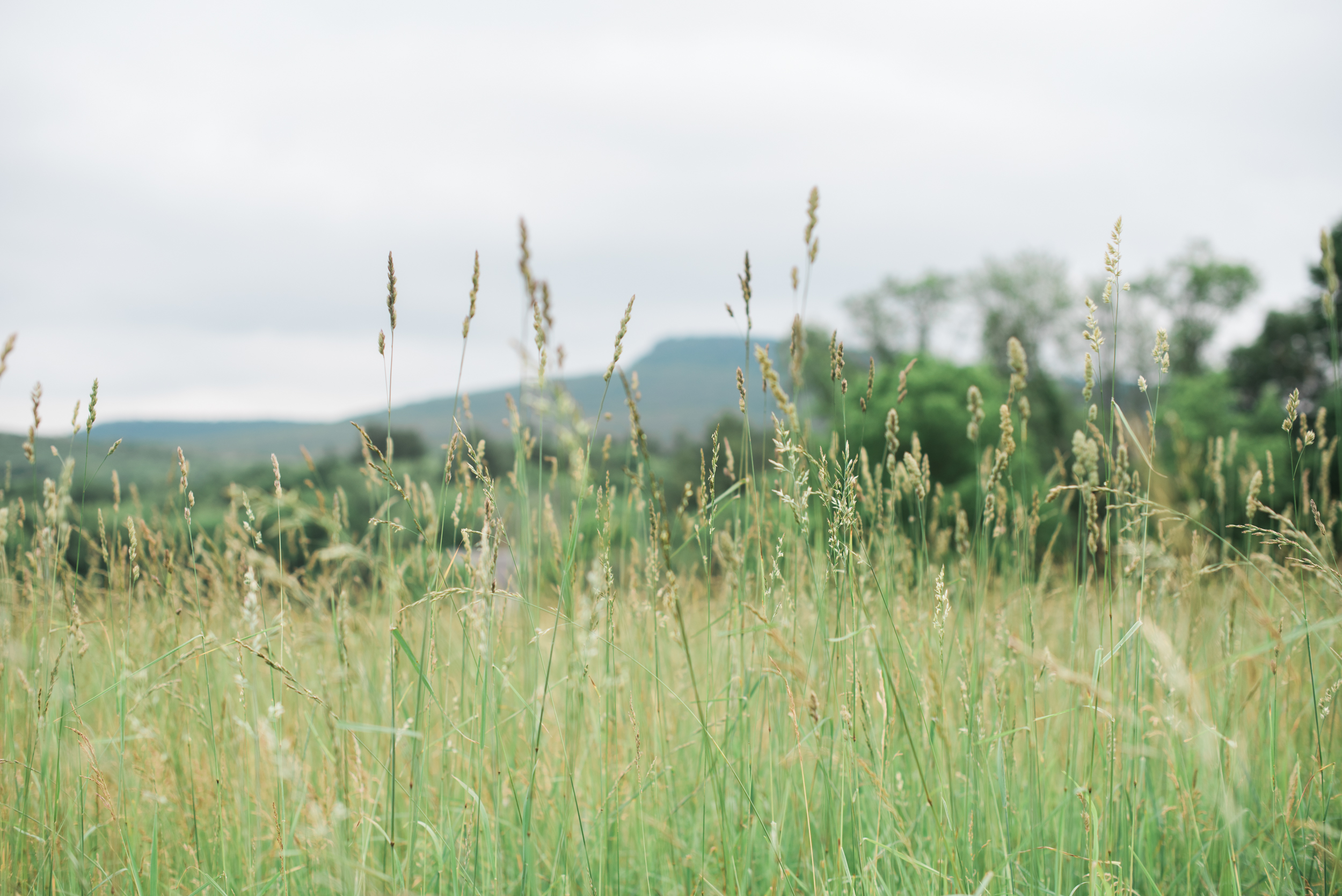 New England Wedding Photographer