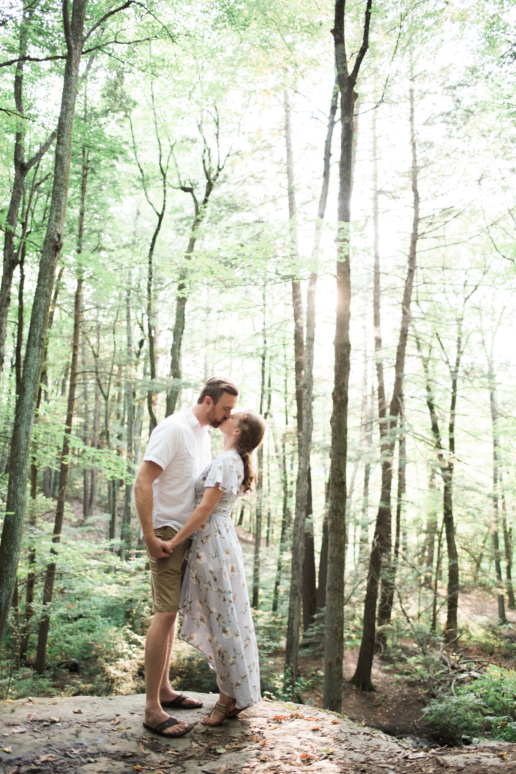 Forest Engagement Session in Amherst MA