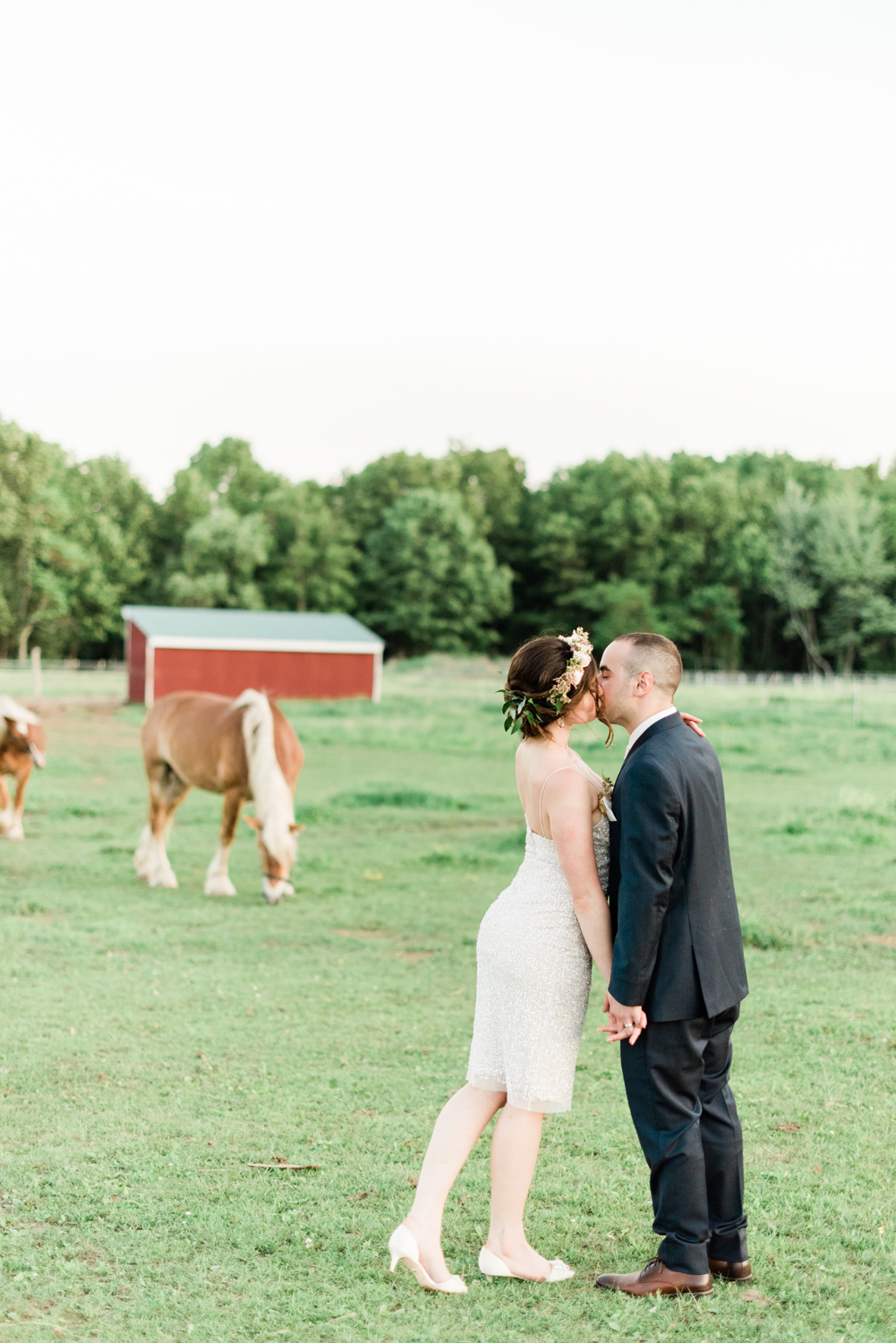 Horses and Weddings