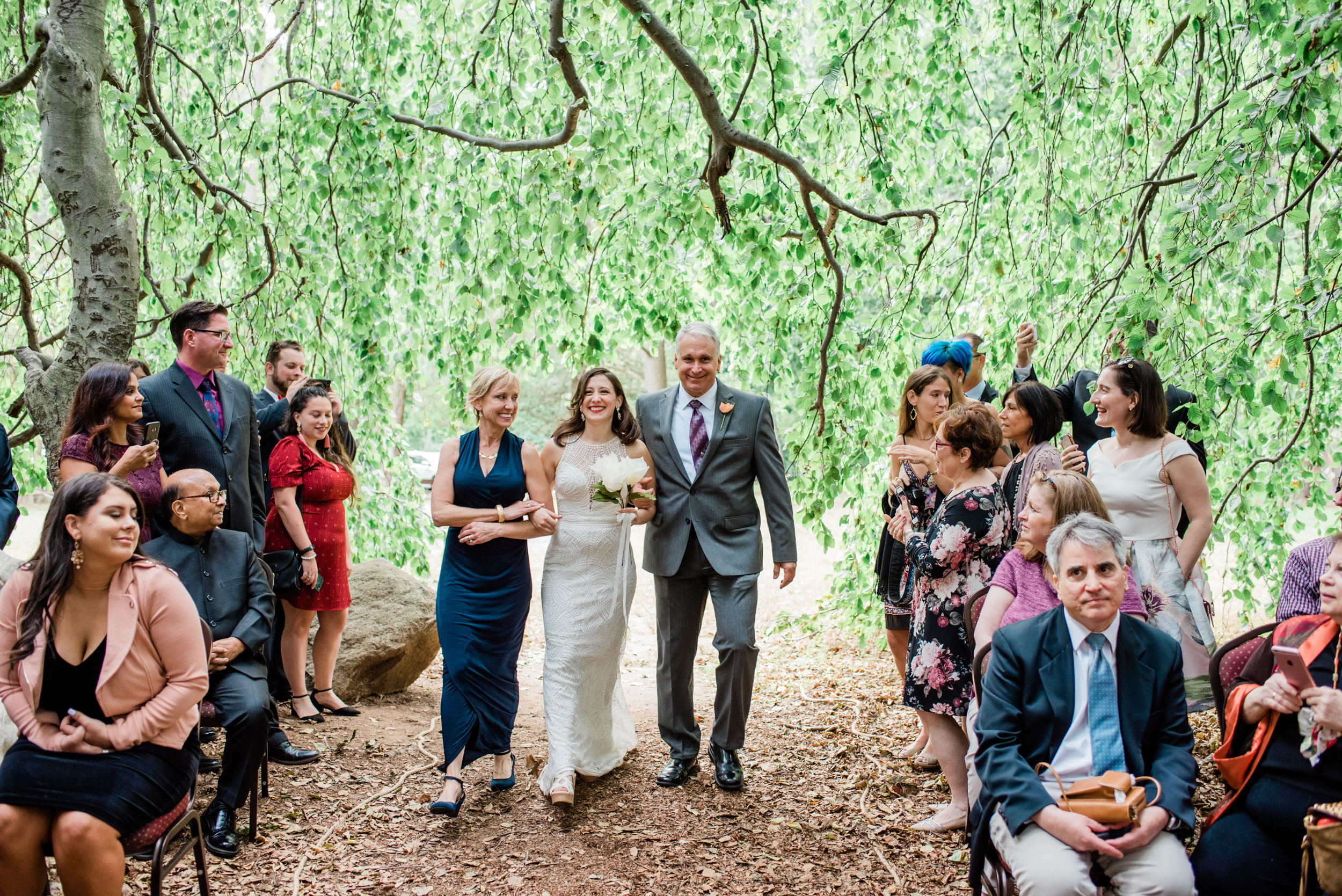 Wedding Ceremony under a tree in CT