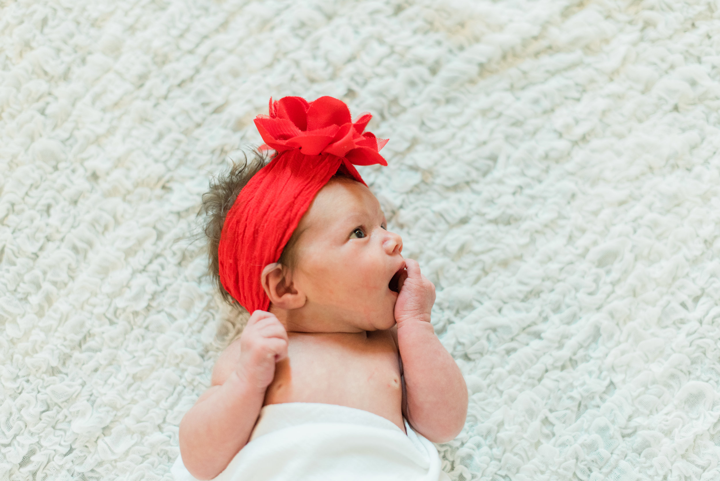 Baby Photography in Western MA