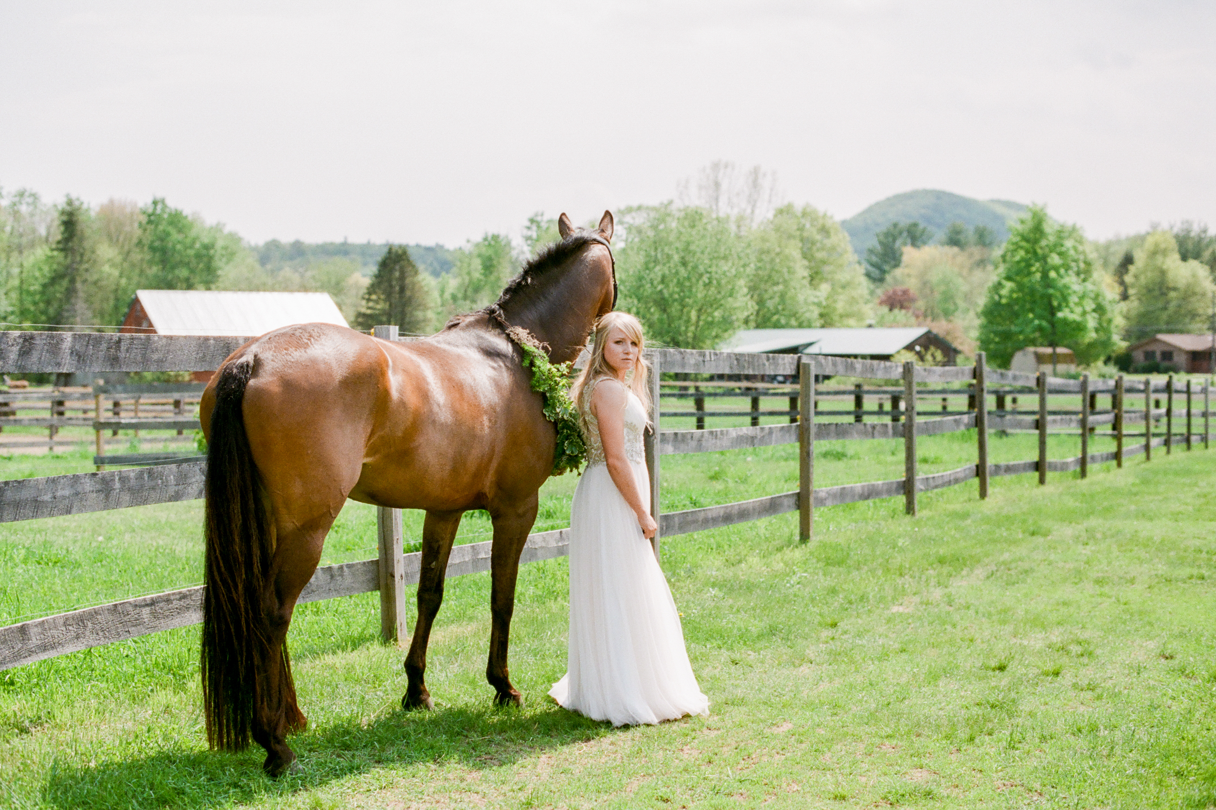 Equestrian Portrait Photographers in Amherst MA