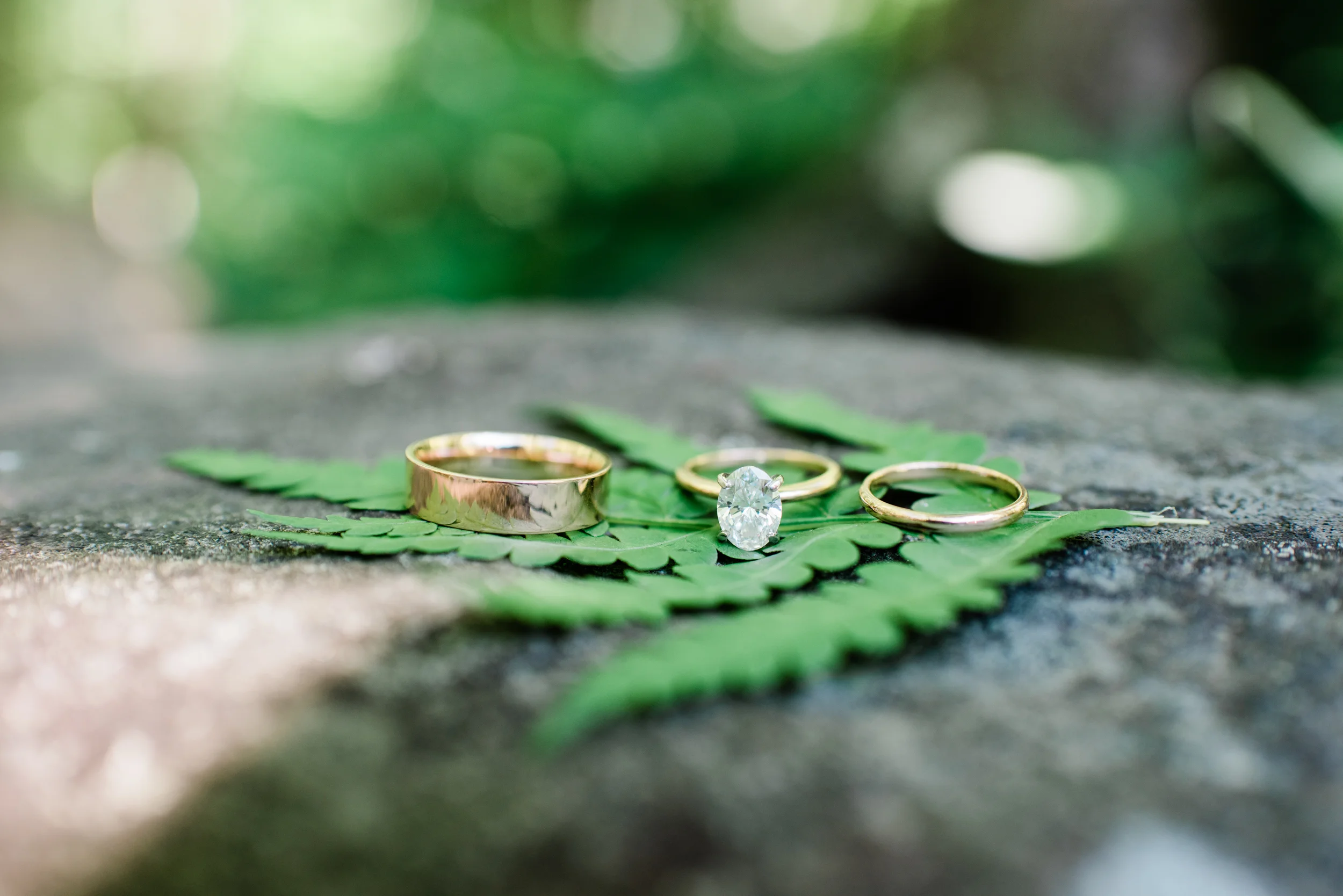 Emily &amp; Taylor's Wedding in the Berkshires | Berkshire Wedding Photographer