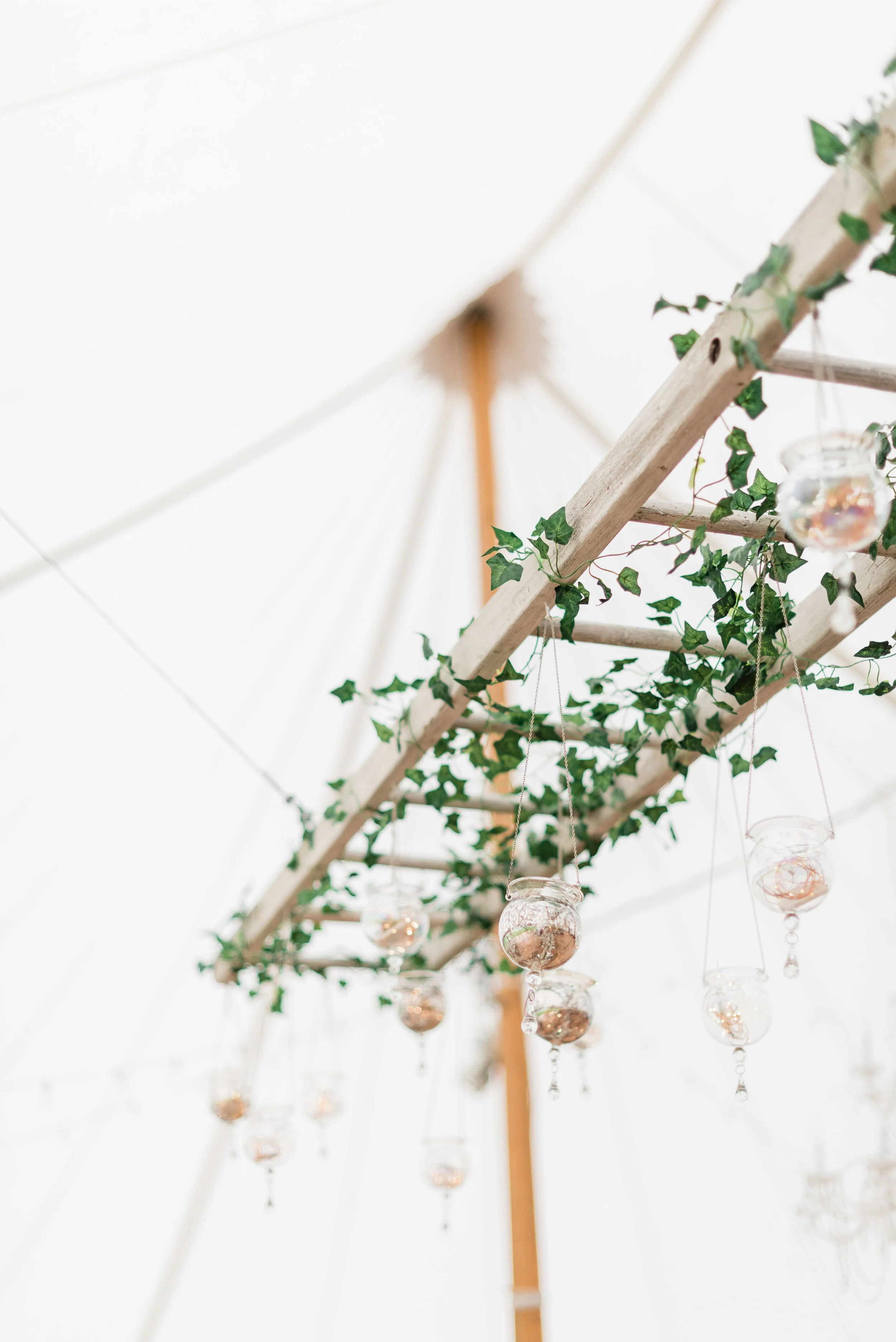 0066melaniezacekphotography.jpg