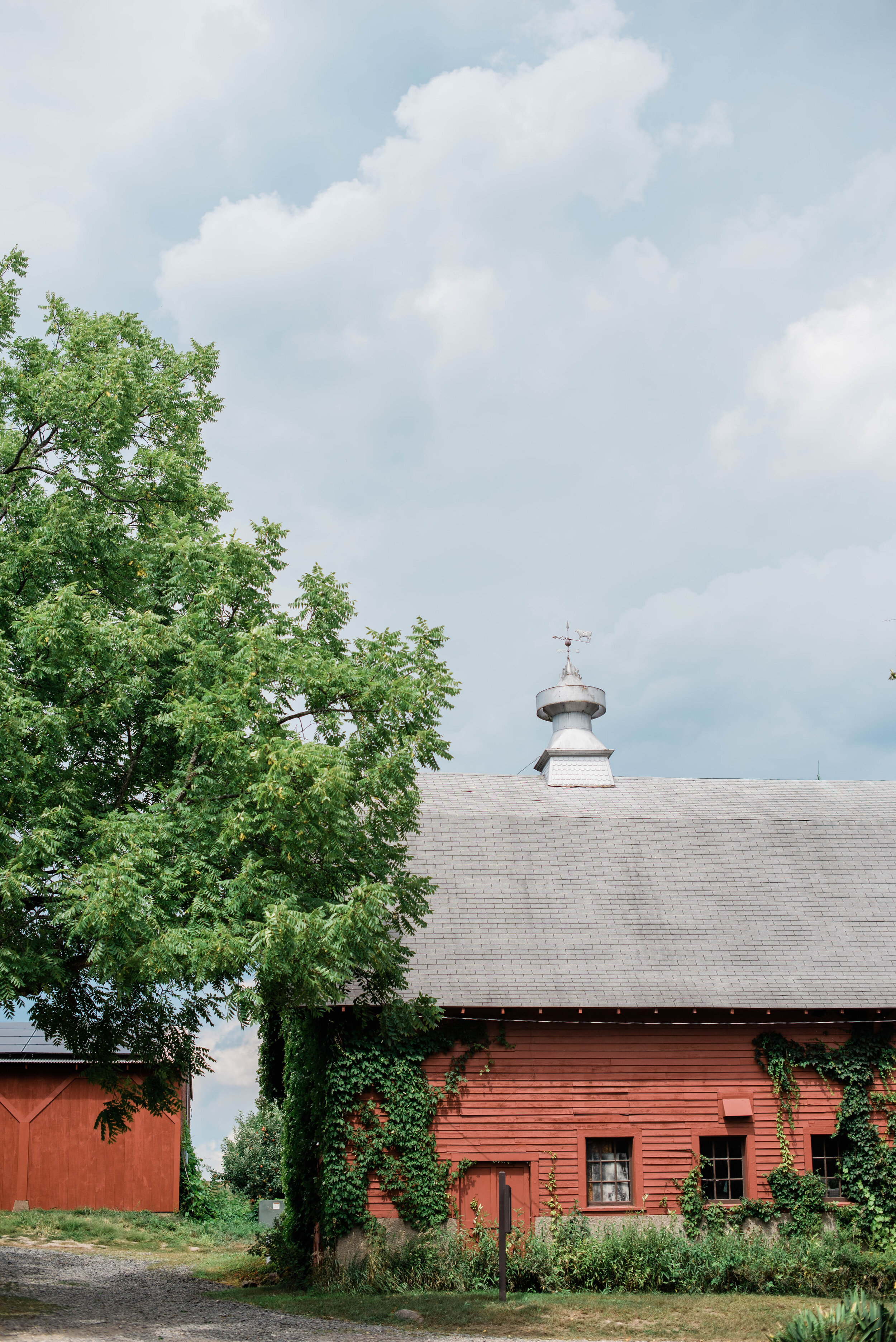 Quontquont Farm Weddings