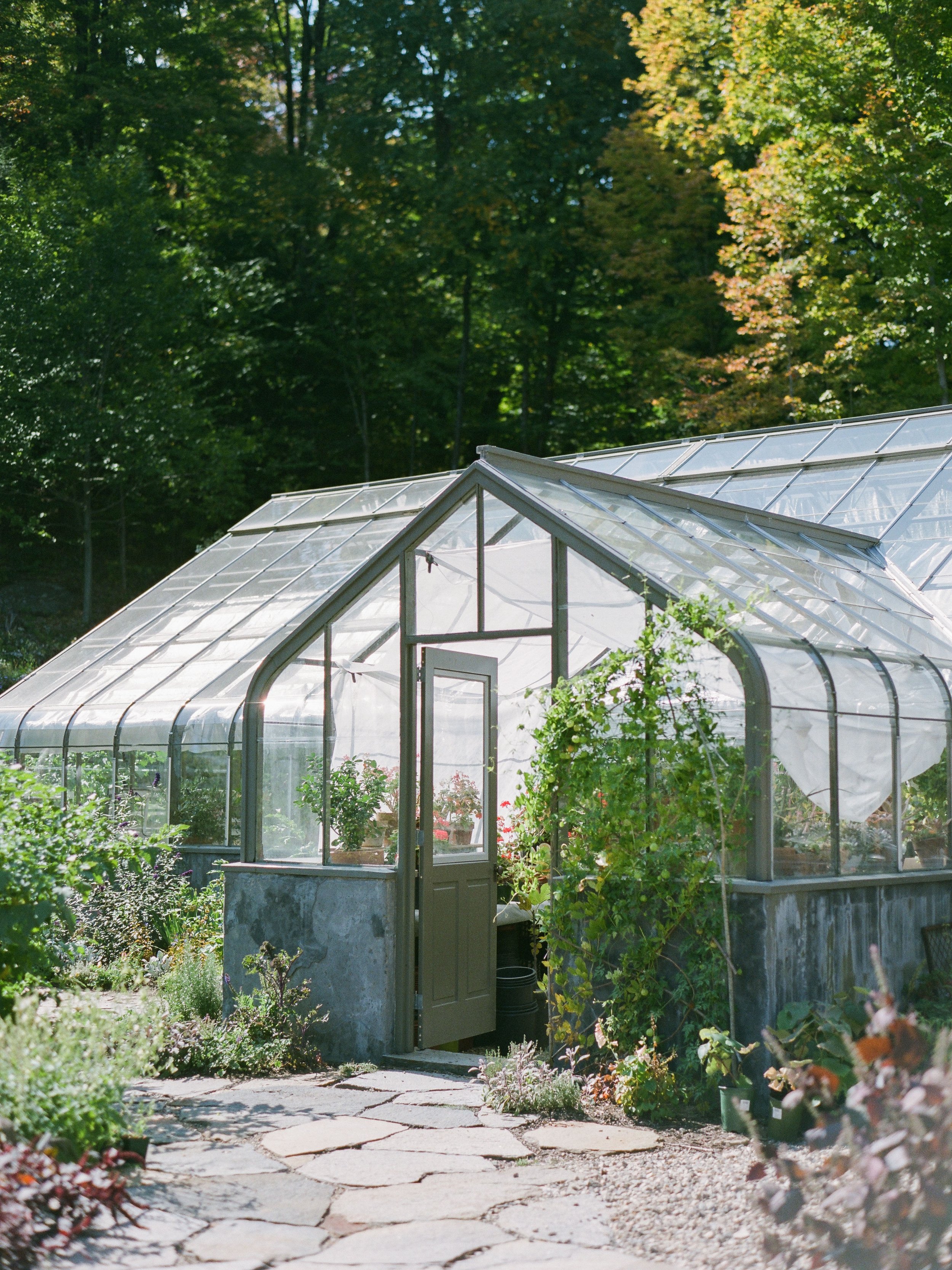 Greenhouse Wedding