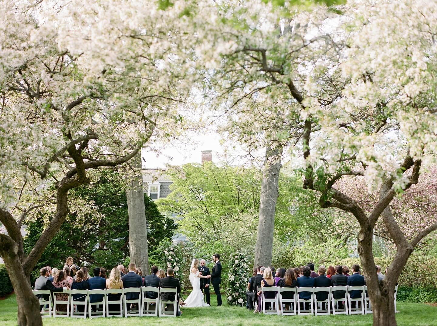 A dreamy Spring ceremony at Hamilton Hall
@hamiltonhallsalem