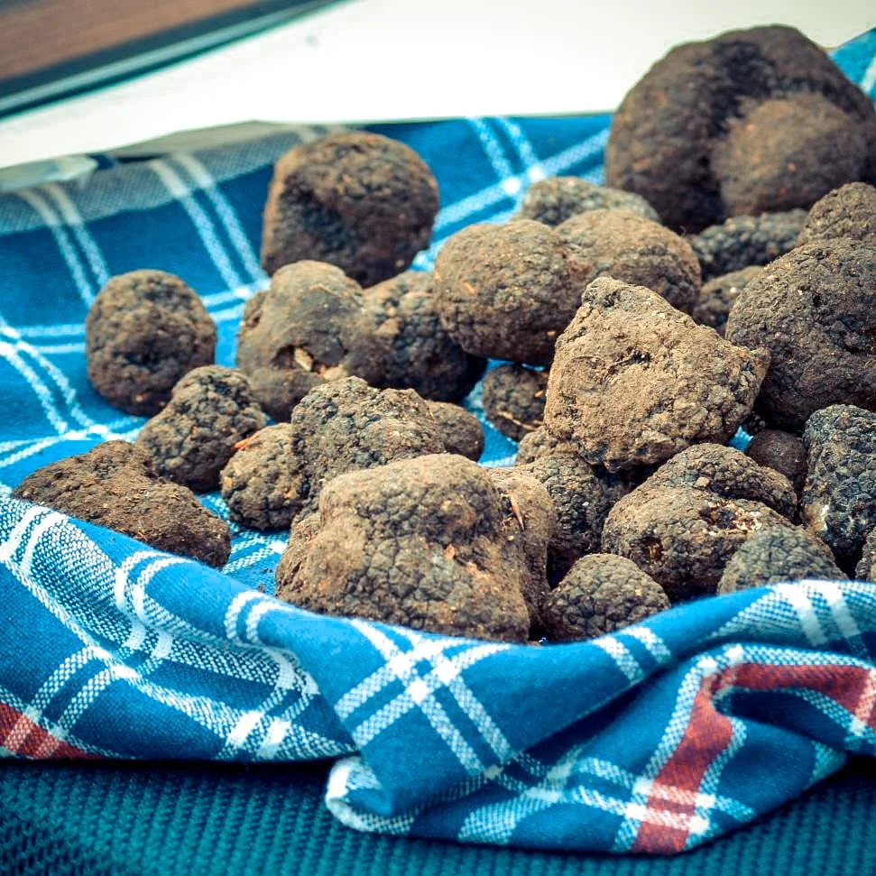 truffle-basket.jpg
