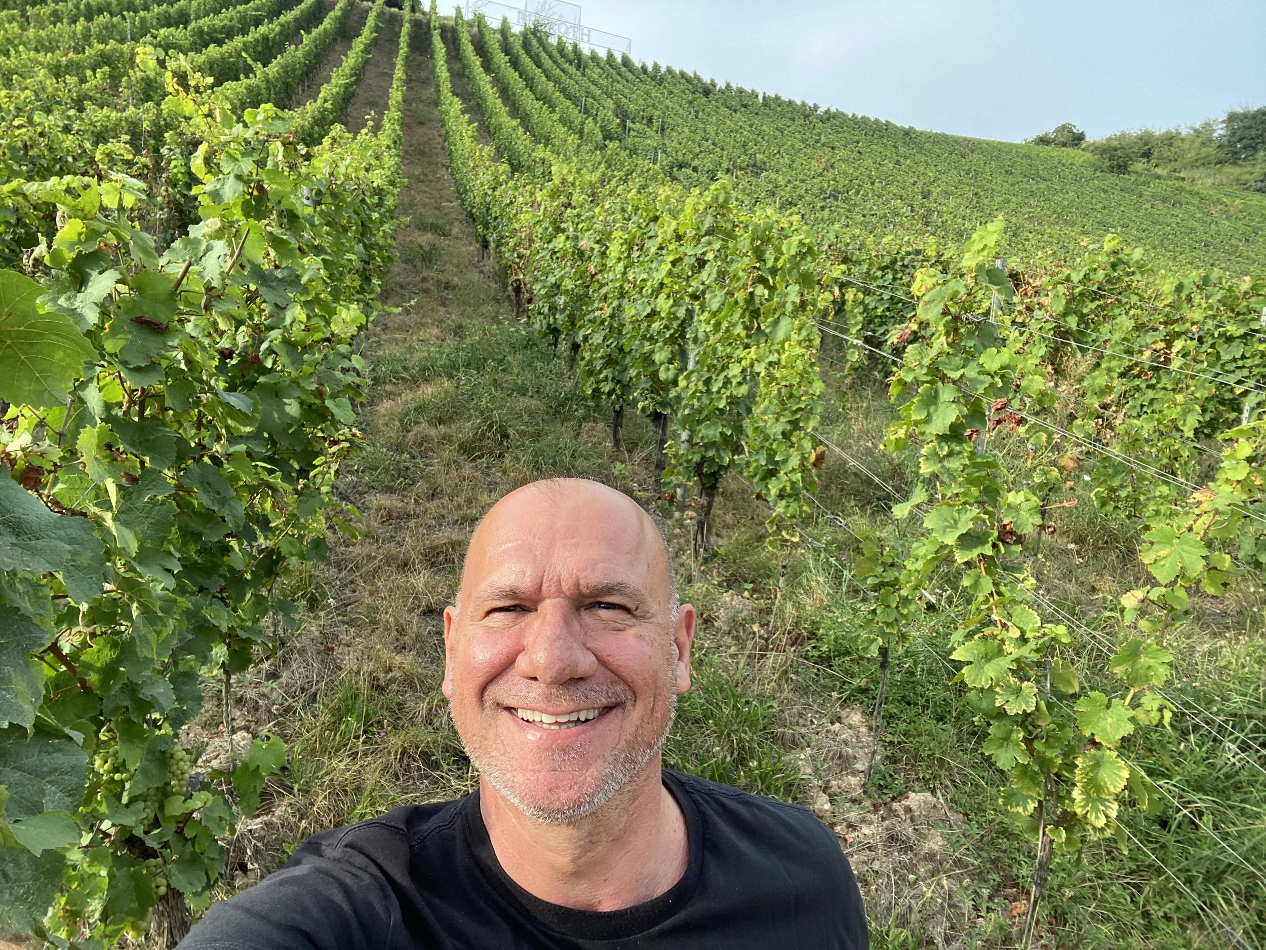 RobertoVineyard.jpg